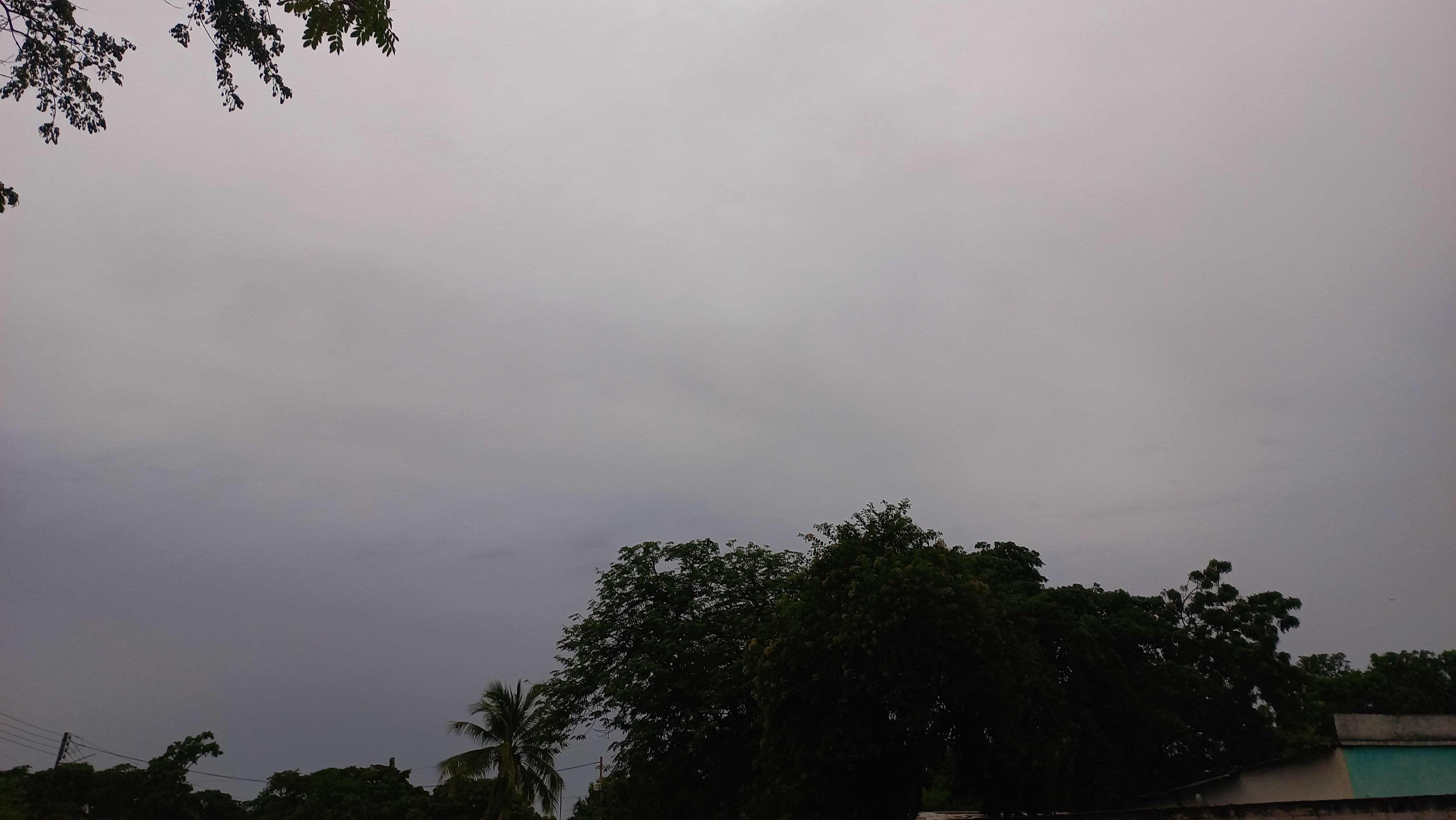 20250619_181905.jpg