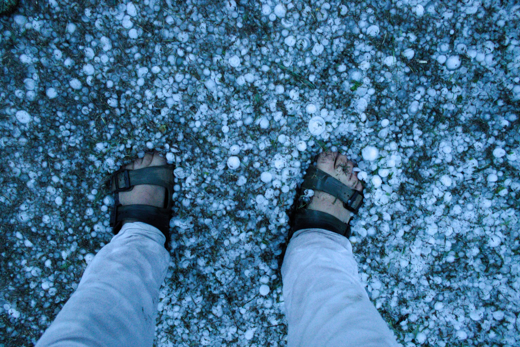 giardino_8.jpg