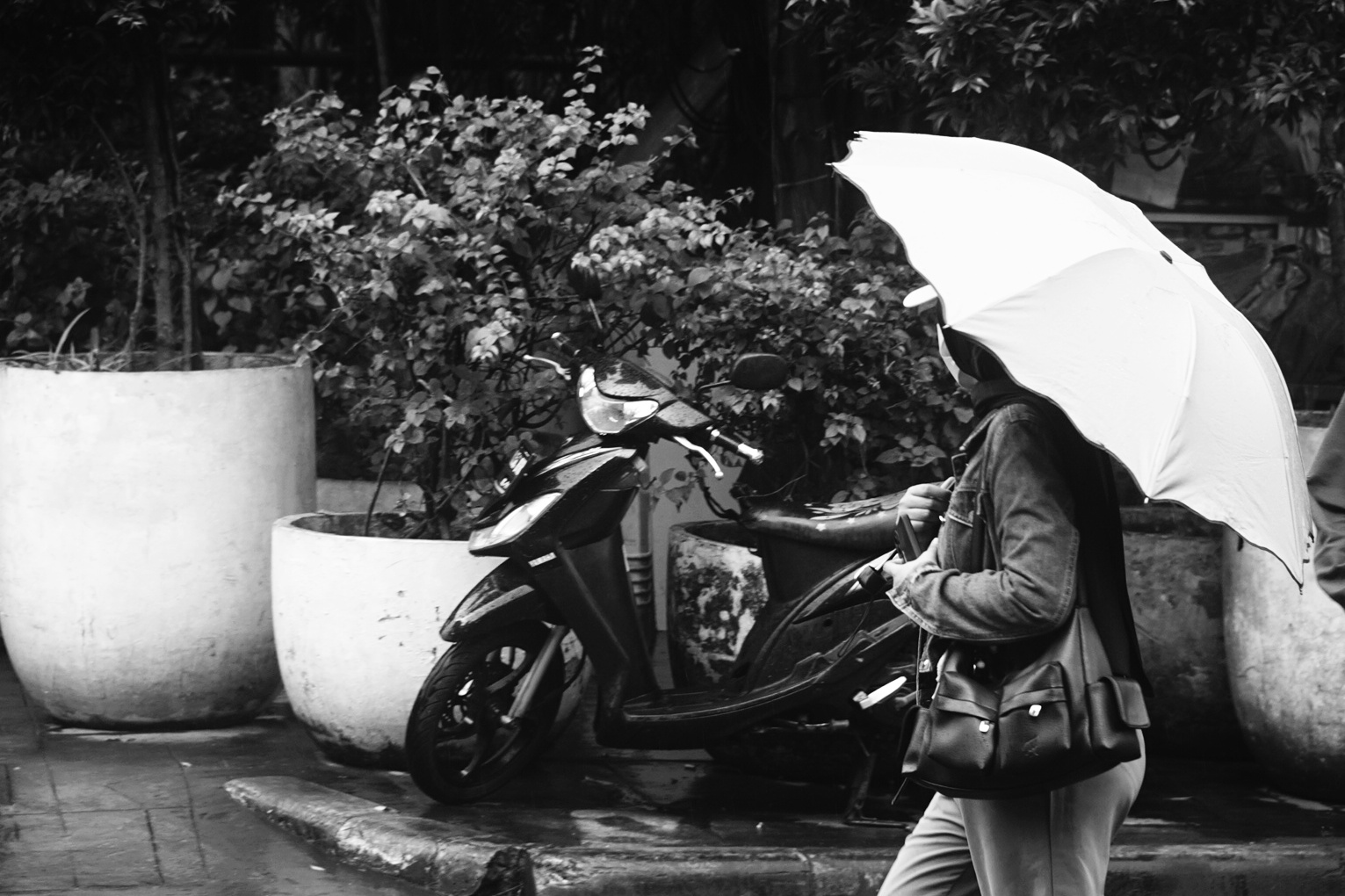 DSC04399-01.jpeg