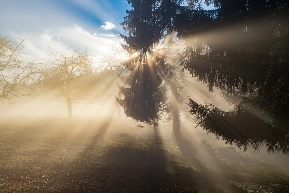 rays-3902368_960_720 Sun sonne licht nebel liebe.webp