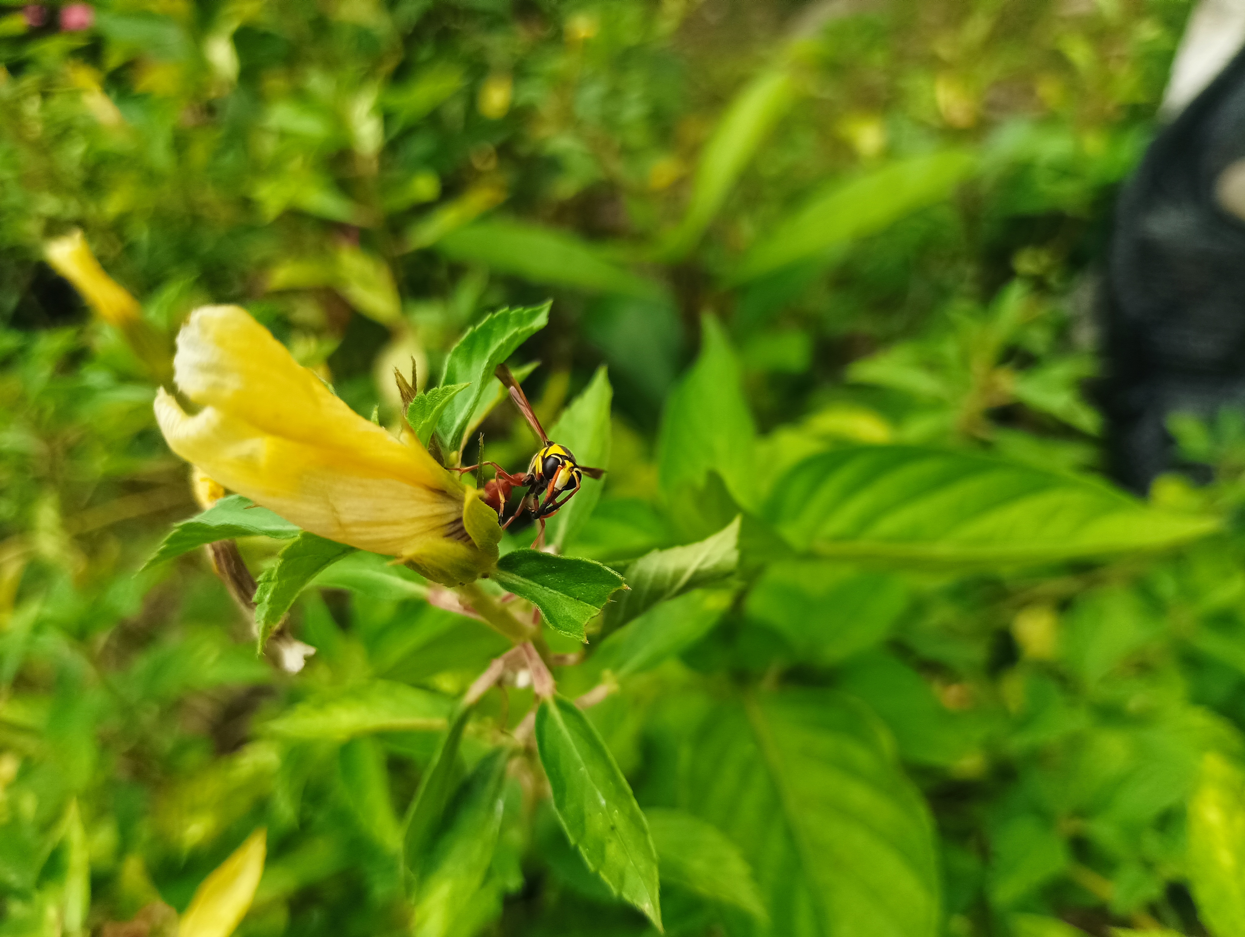 IMG_20250801_114241.jpg