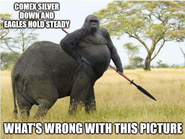Screenshot 2022-07-14 at 16-39-25 gorilla elephant centaur Meme Generator - Imgflip.png
