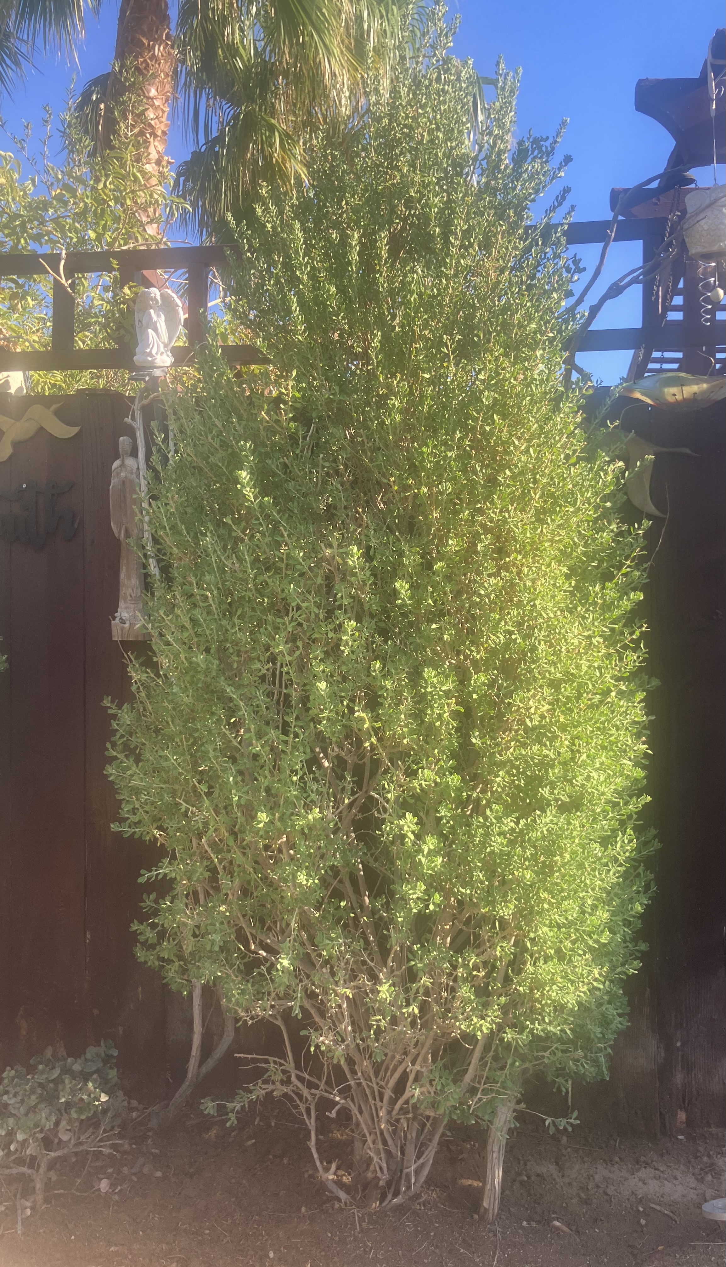 IMG_1395.jpeg