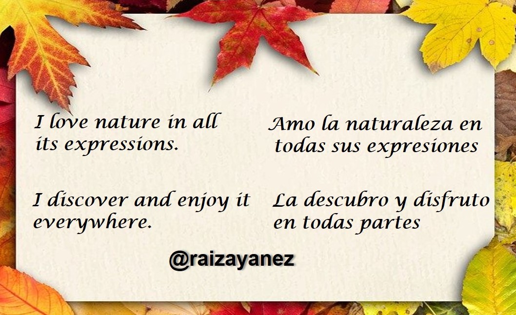 1_Banner_frases _Raiza_2.jpg