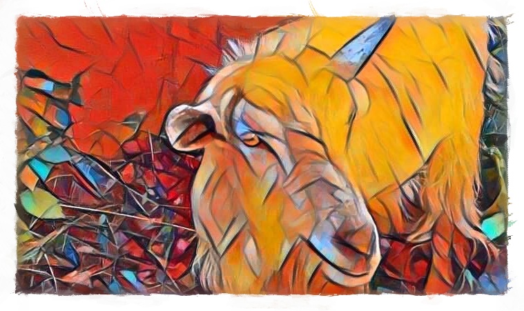 9e80e4df-6778-4da4-863f-7cd917a44380_FotoSketcher.jpg