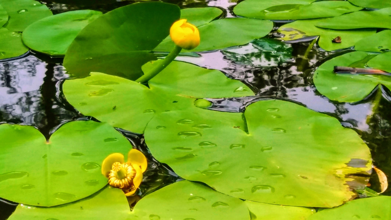 20180630_141126.jpg