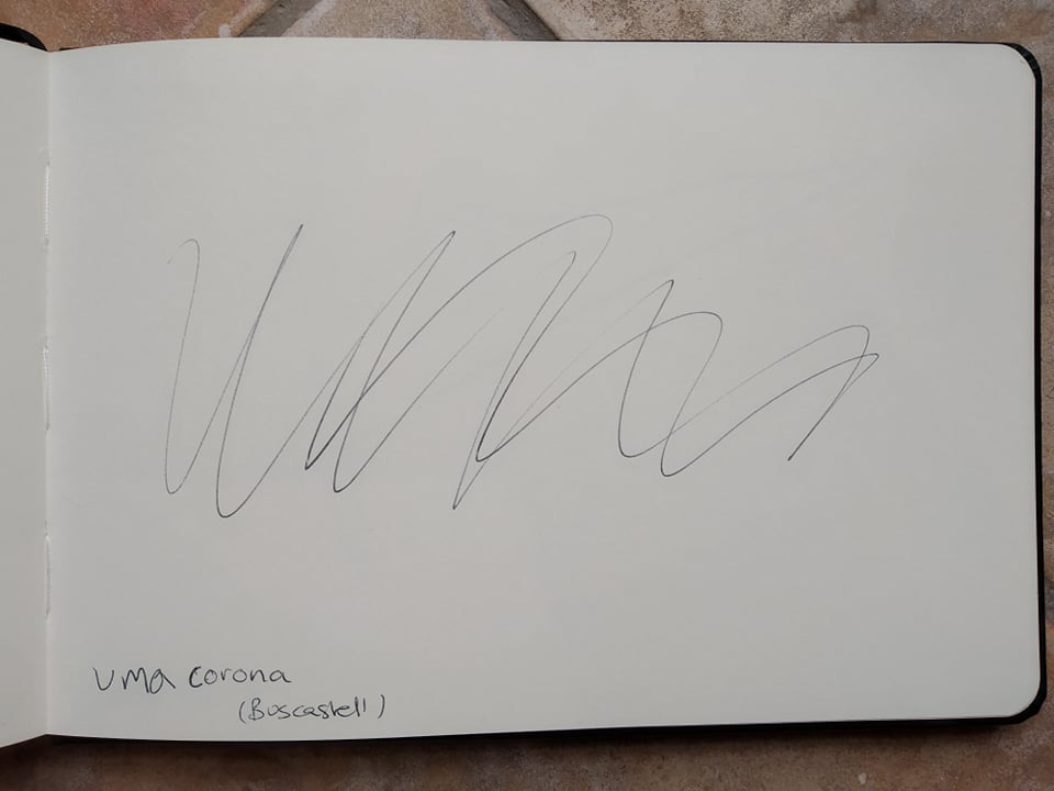 dibujo263A.jpg