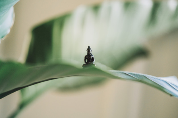 very-small-buddha-statue-set-large-plant-leaf_181624-1522.jpg