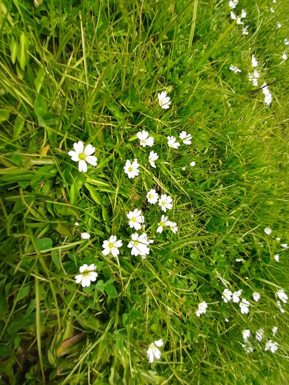 20250608_132648.jpg