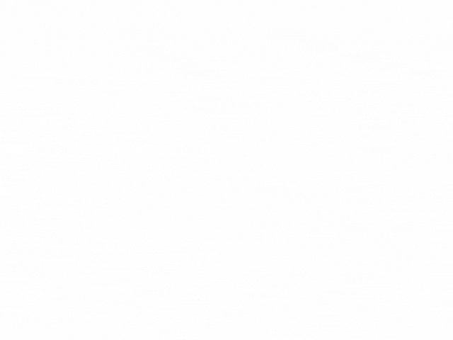 Libellulidae(2).gif