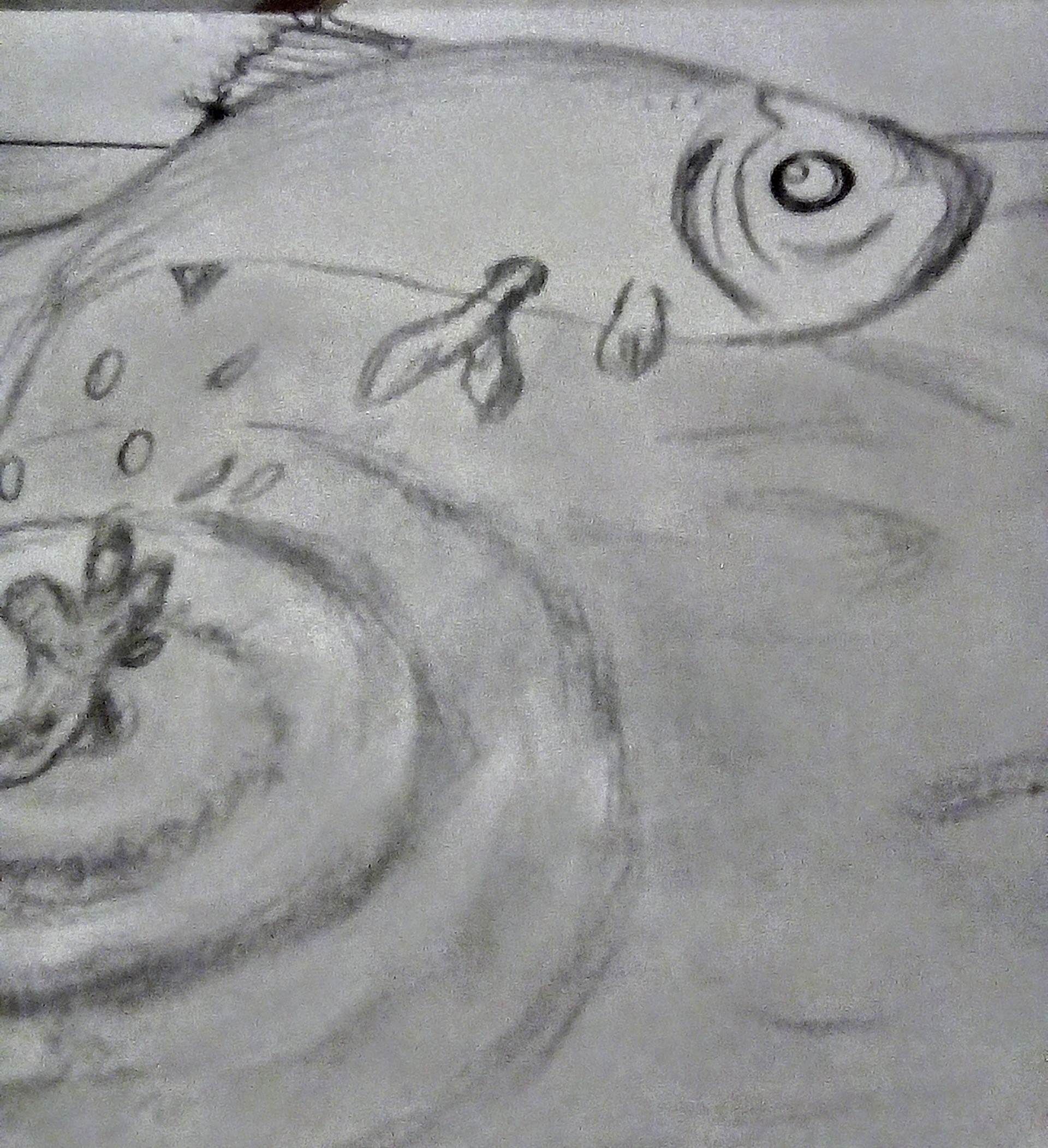 Fish jumping out of water, optical illusion (drawing) — Hive