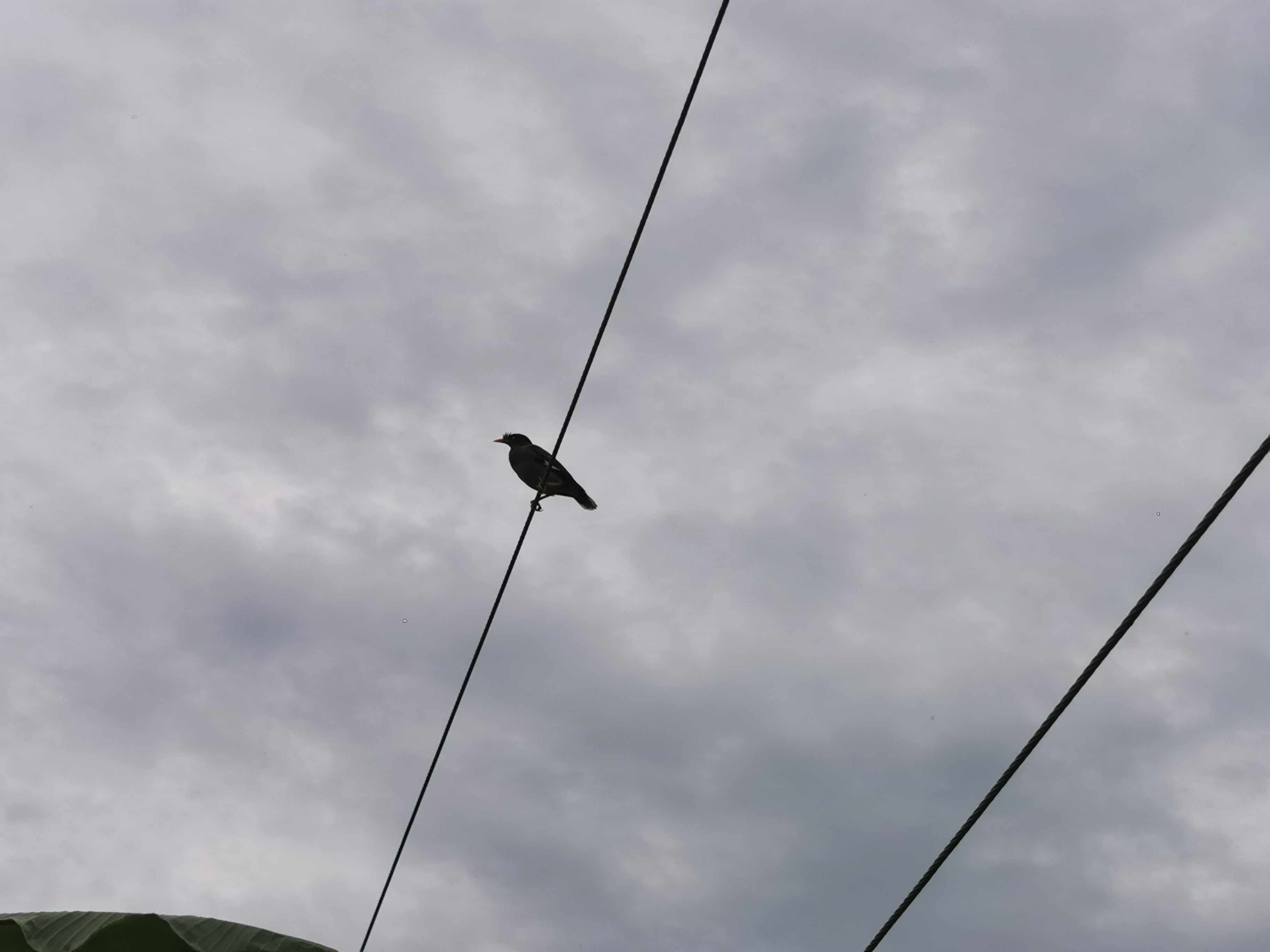 IMG_20250817_081715.jpg