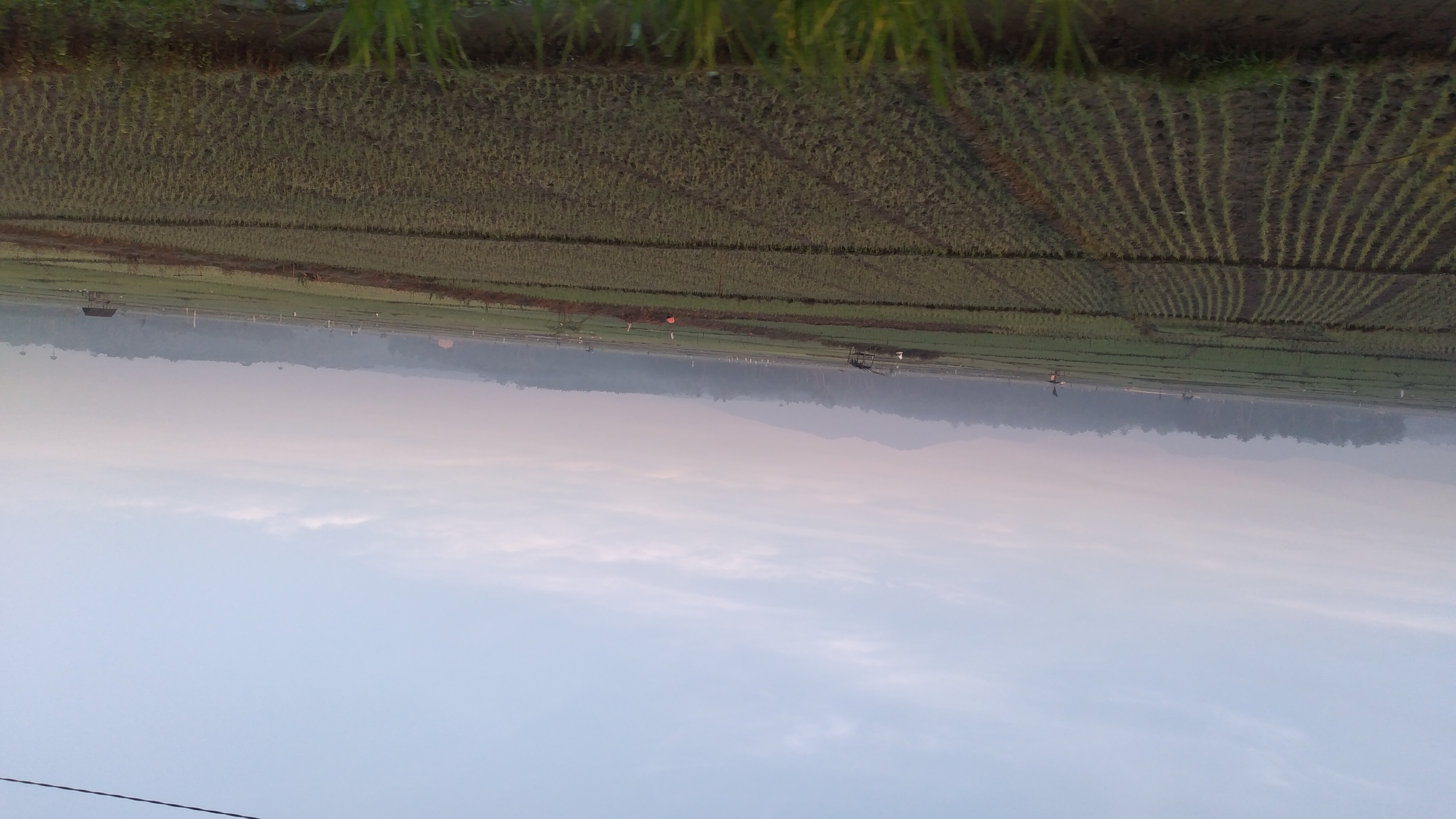 20240313_070050.jpg