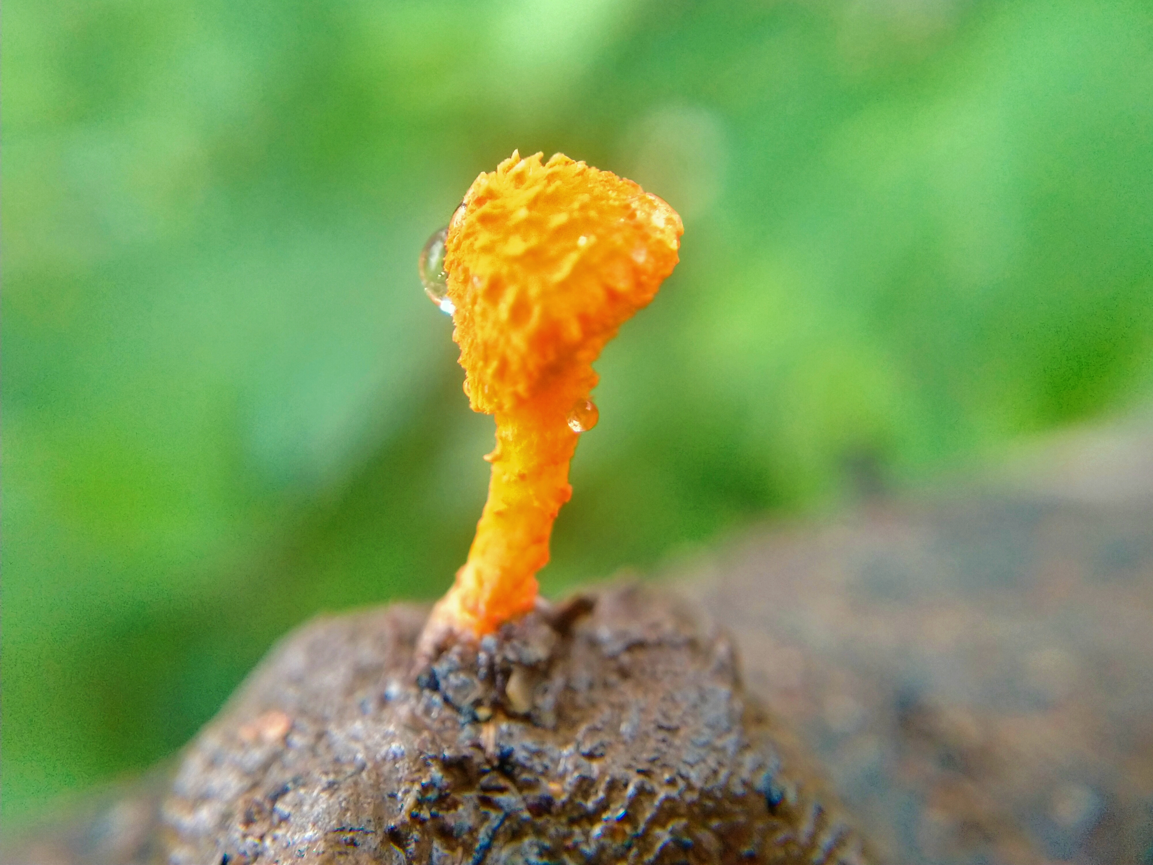 IMG_20220109_201459.jpg