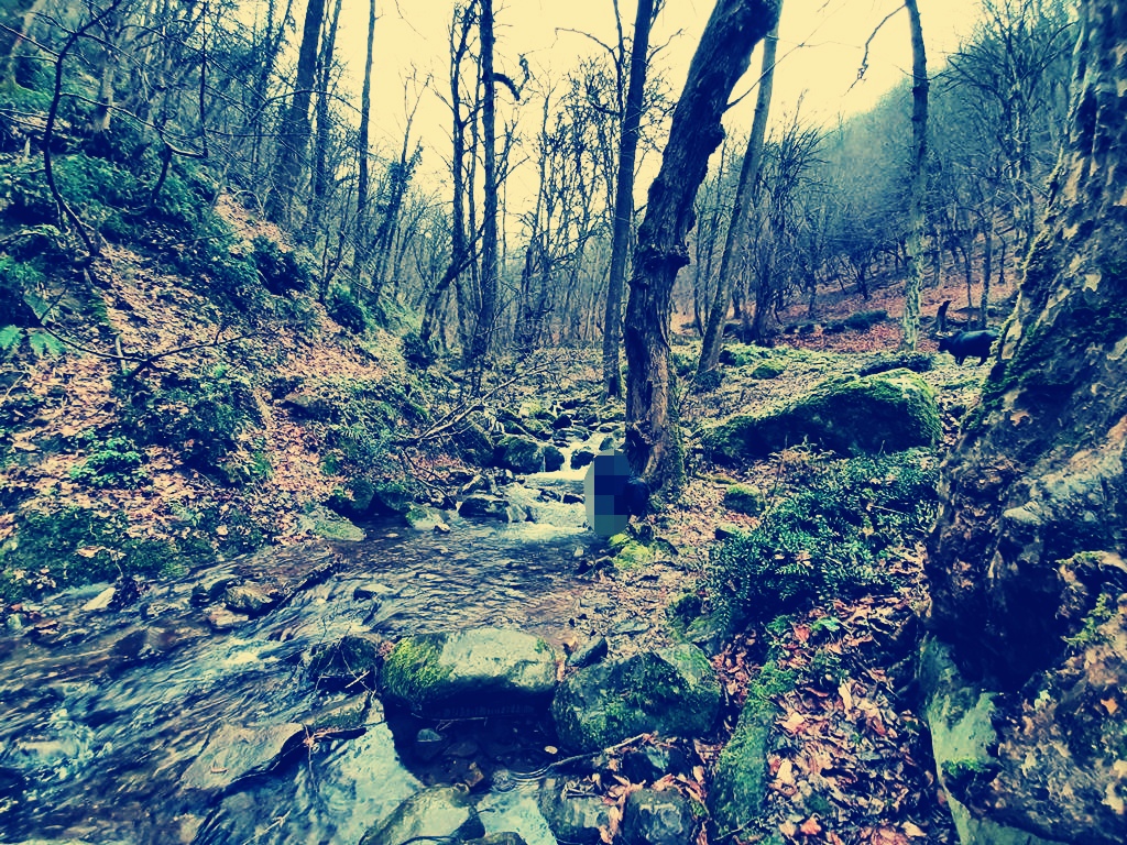 20230208_154631_edit_478018956725495.jpg