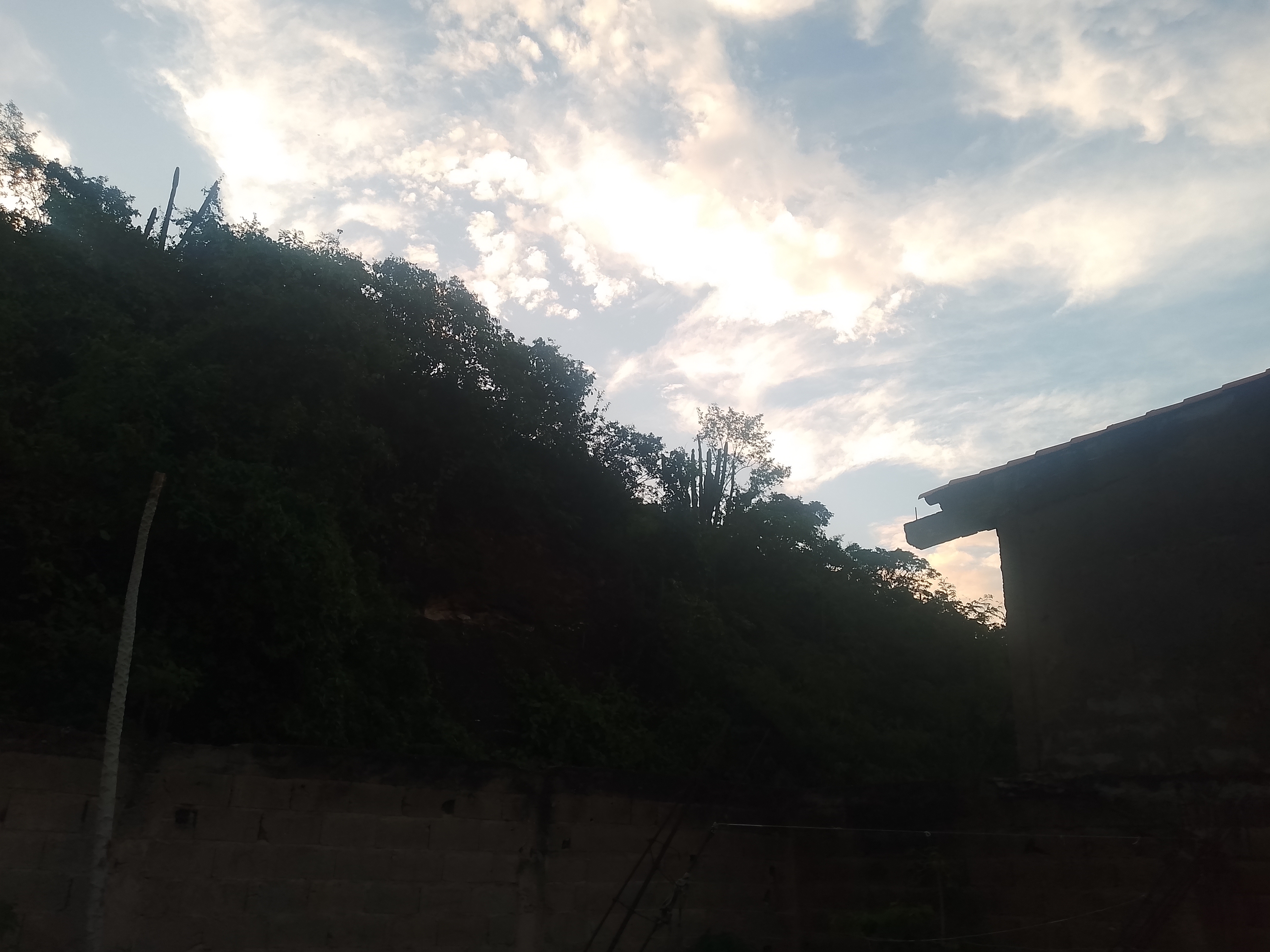 IMG_20250825_181147_862.jpg
