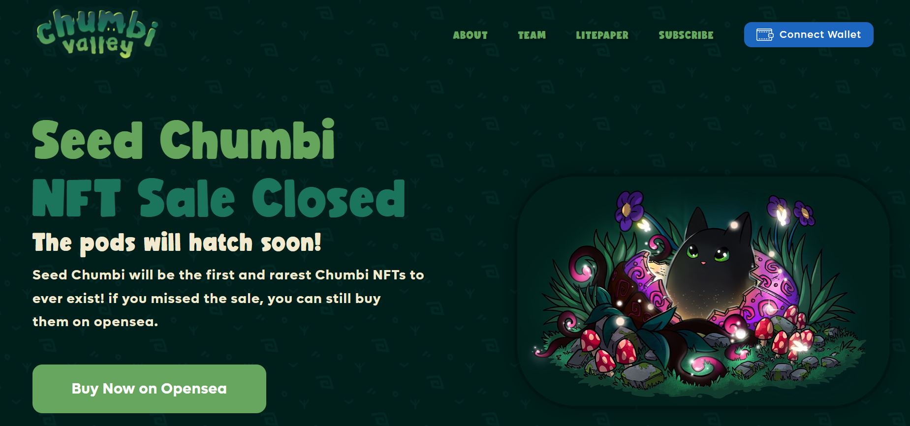 nft-chumbi.jpg