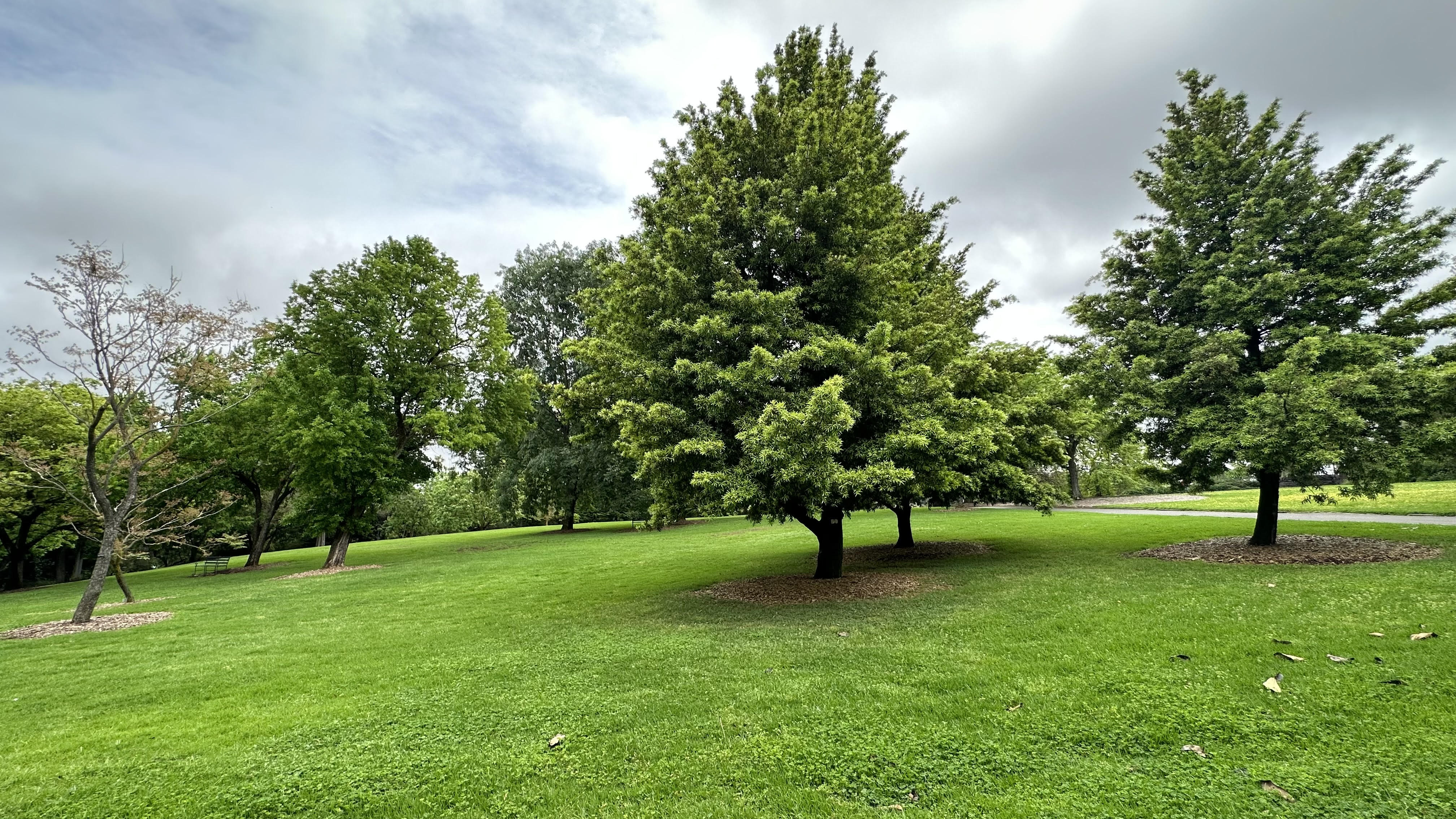 unnamed (19).jpg