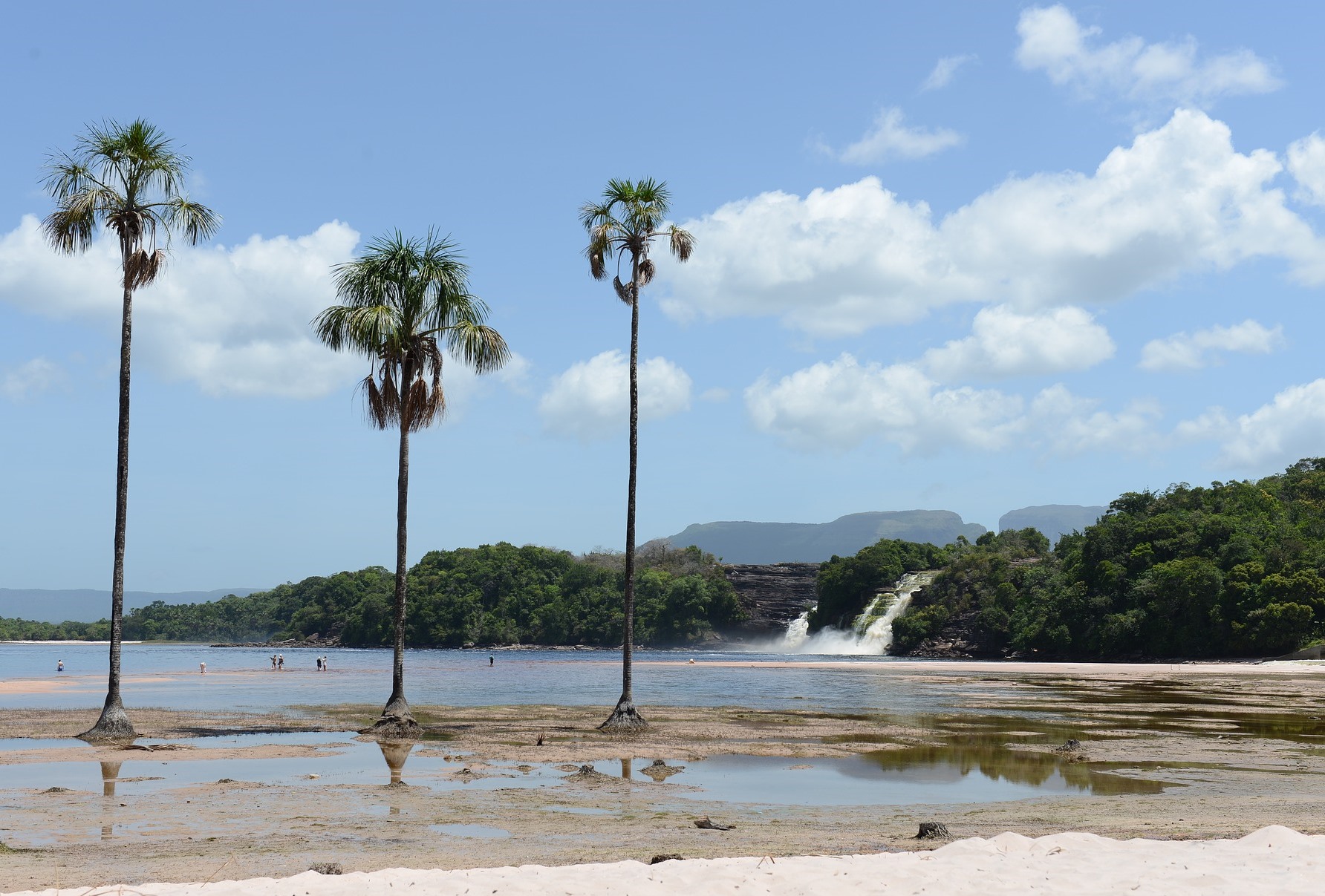 Canaima 1.jpg