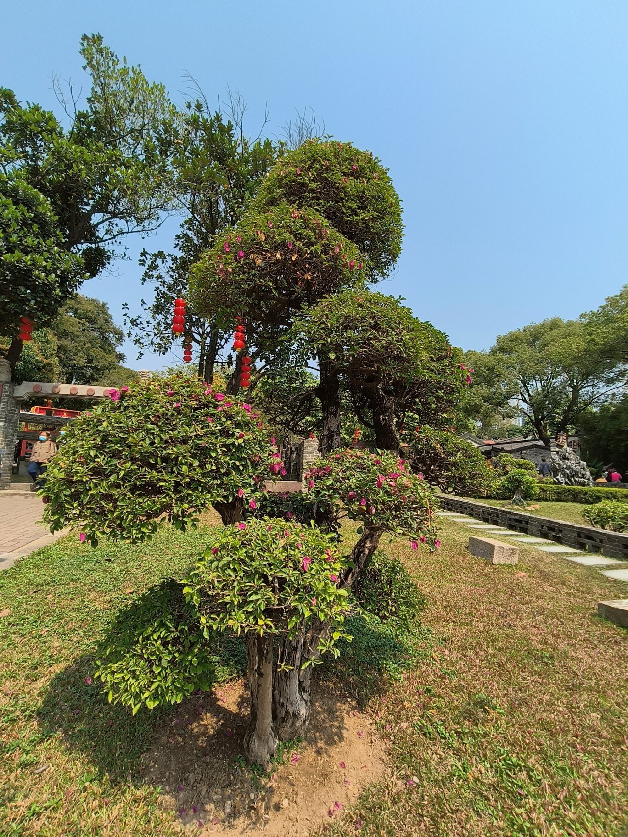 IMG20230302115624.jpg