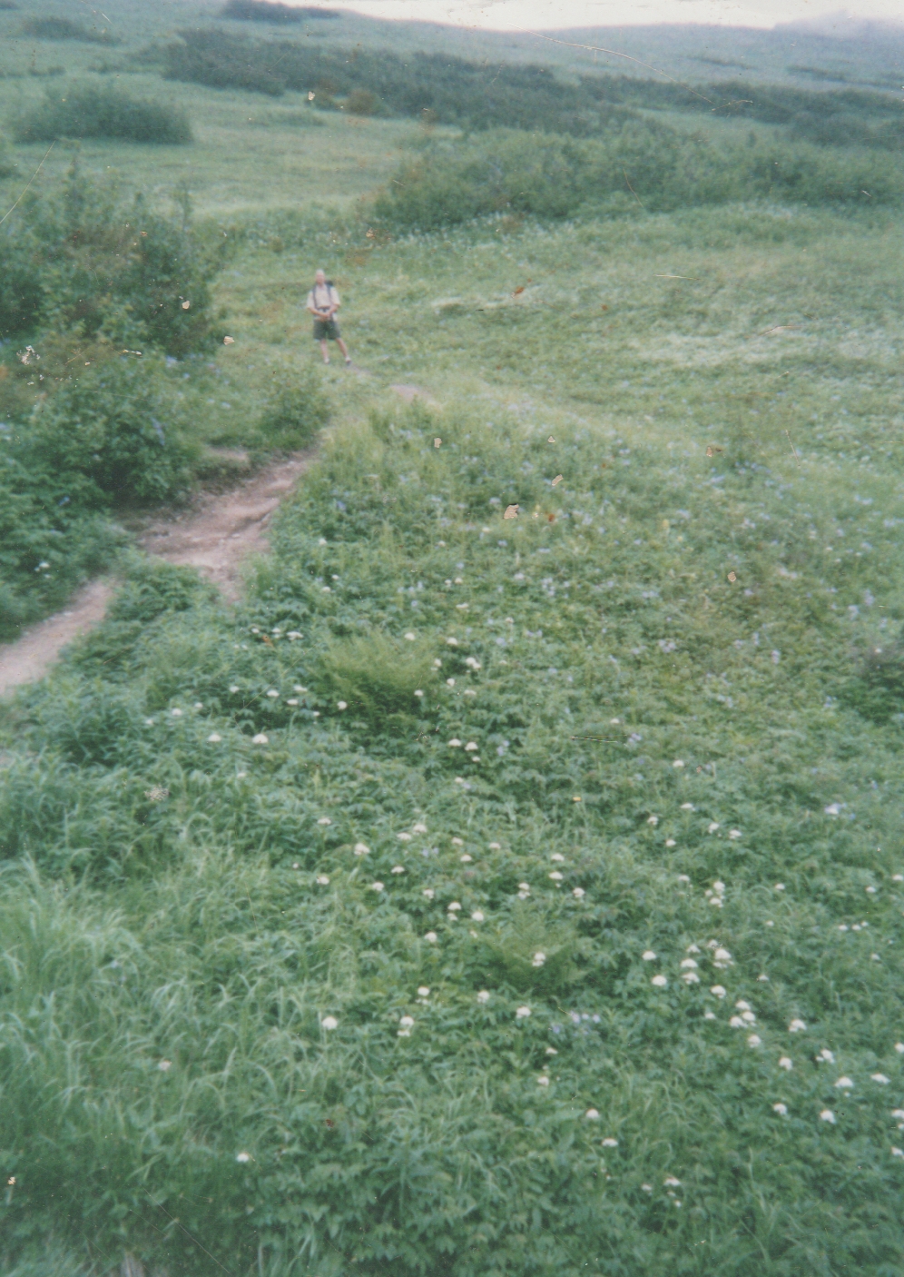1970's or i don't know of a meadow grass a girl.jpg