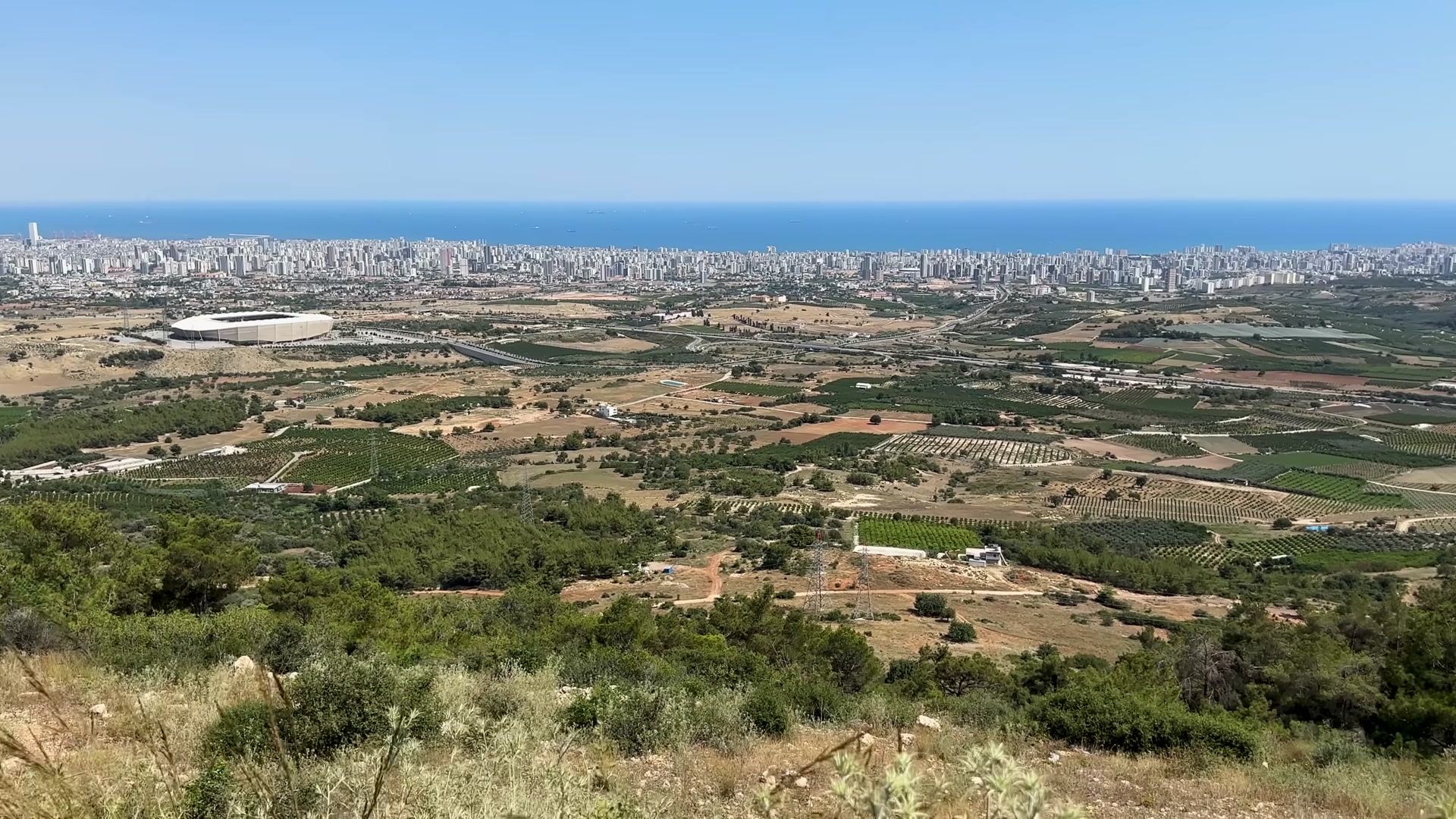 209.jpg