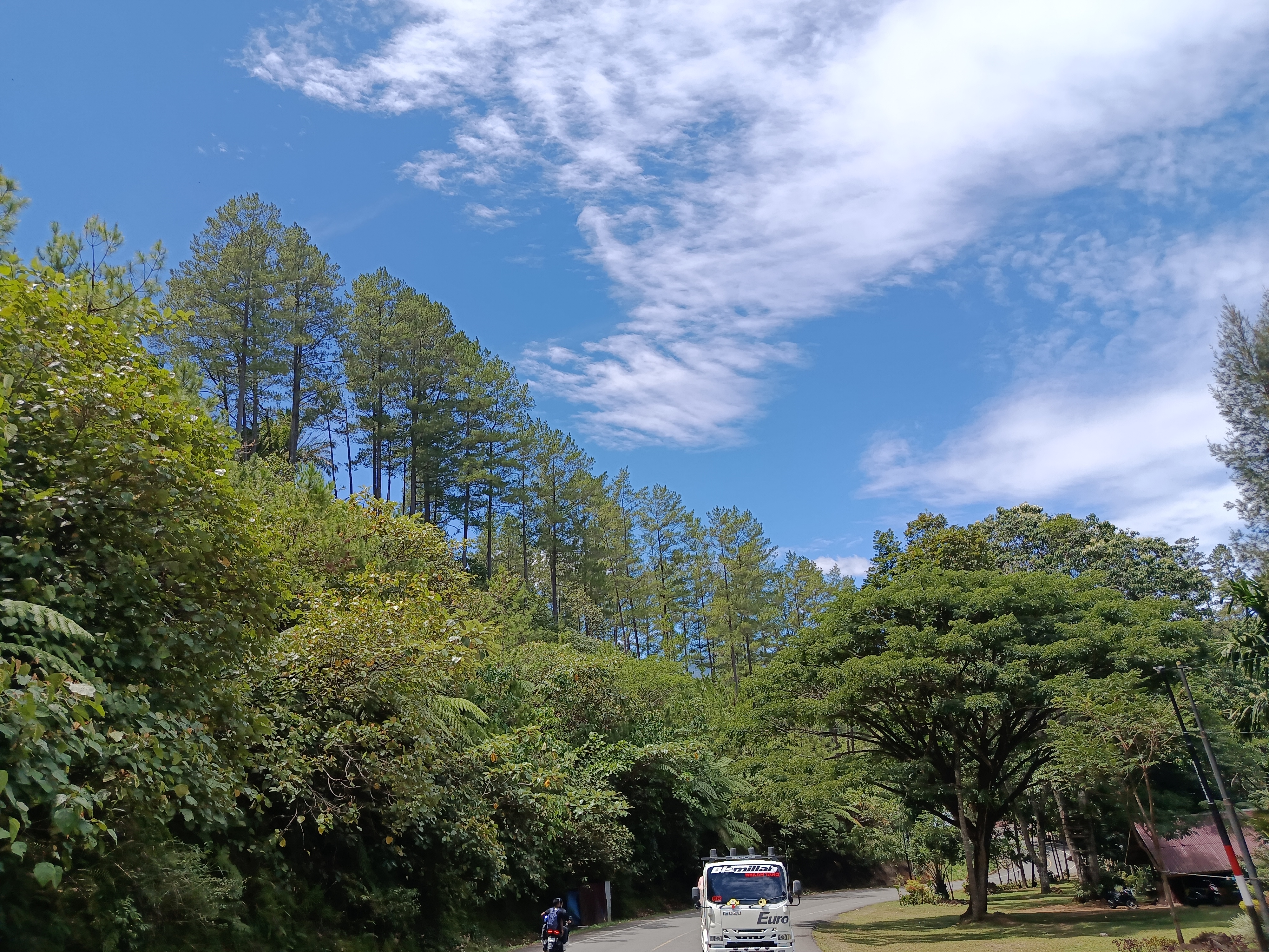 IMG_20250711_120316.jpg