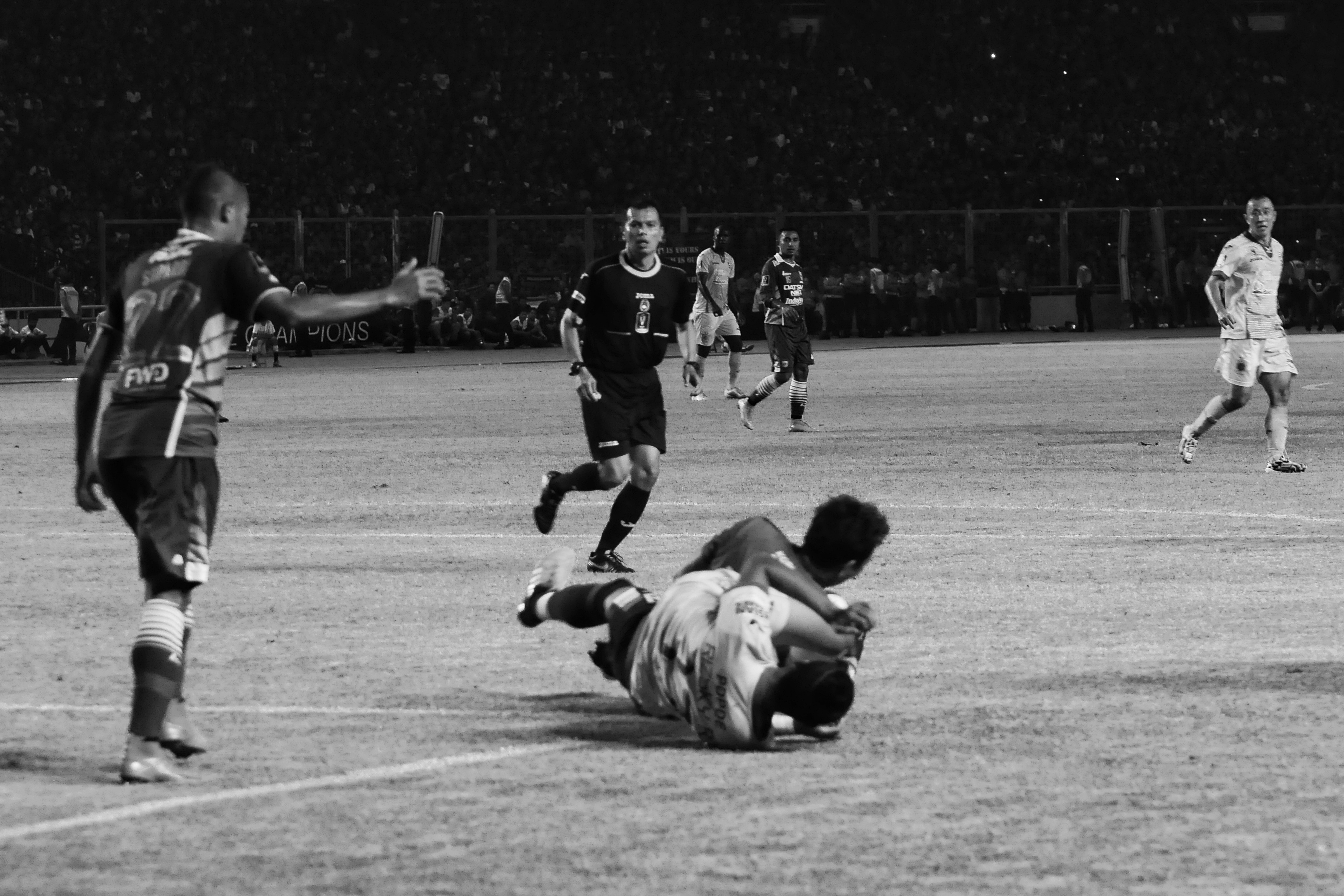 DSC_0181-01.jpeg