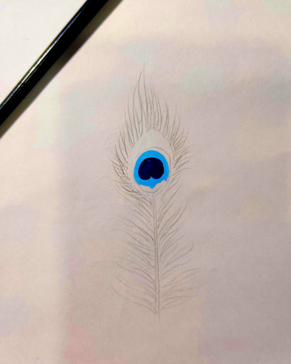 peacock feather traceable- free | Feather drawing, Peacock feather drawing,  Feather painting