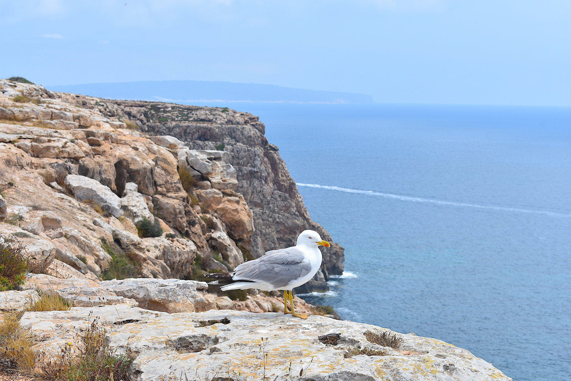 Formentera-34.jpg