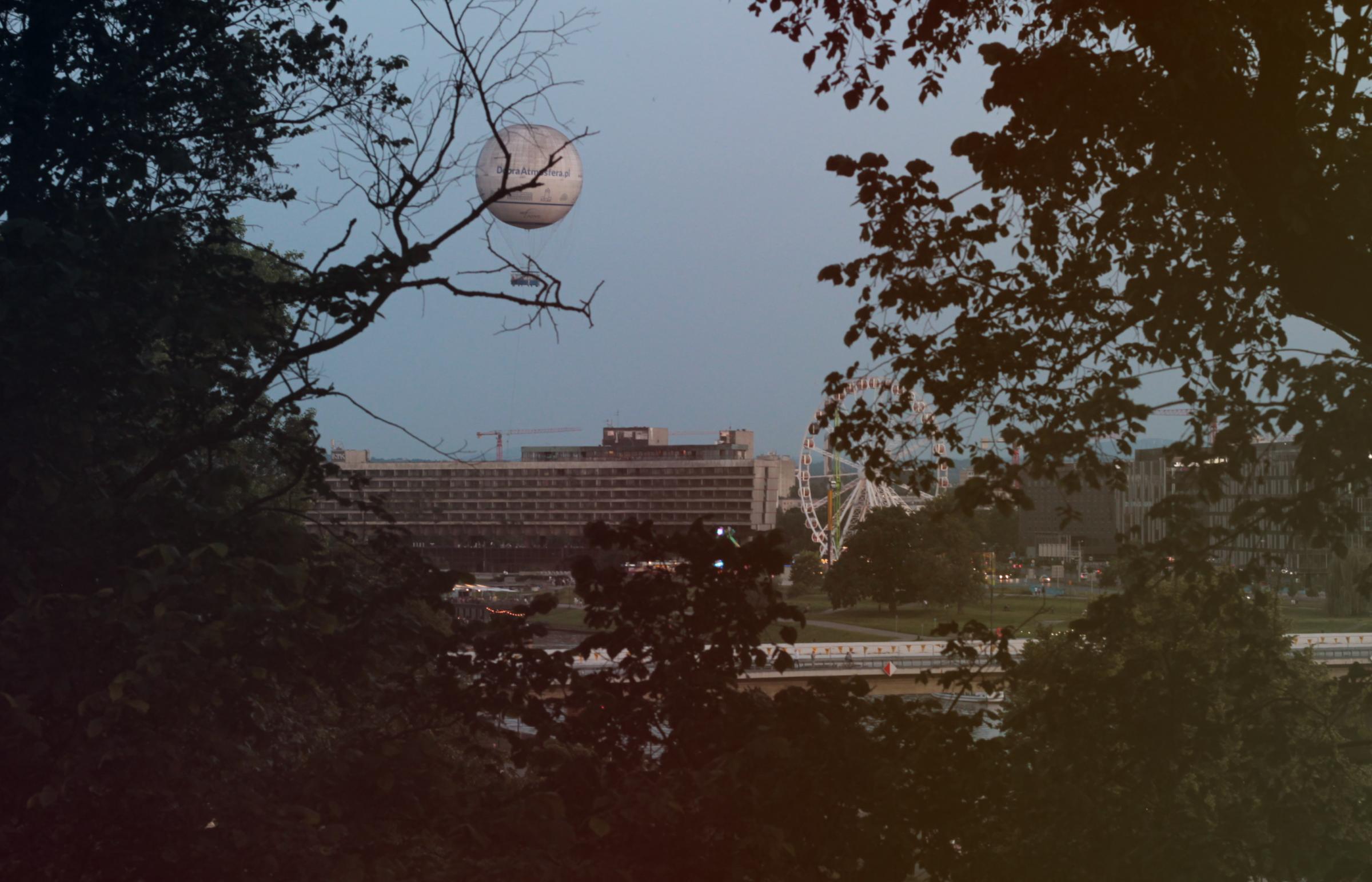 IMG_7427a-crop.jpg