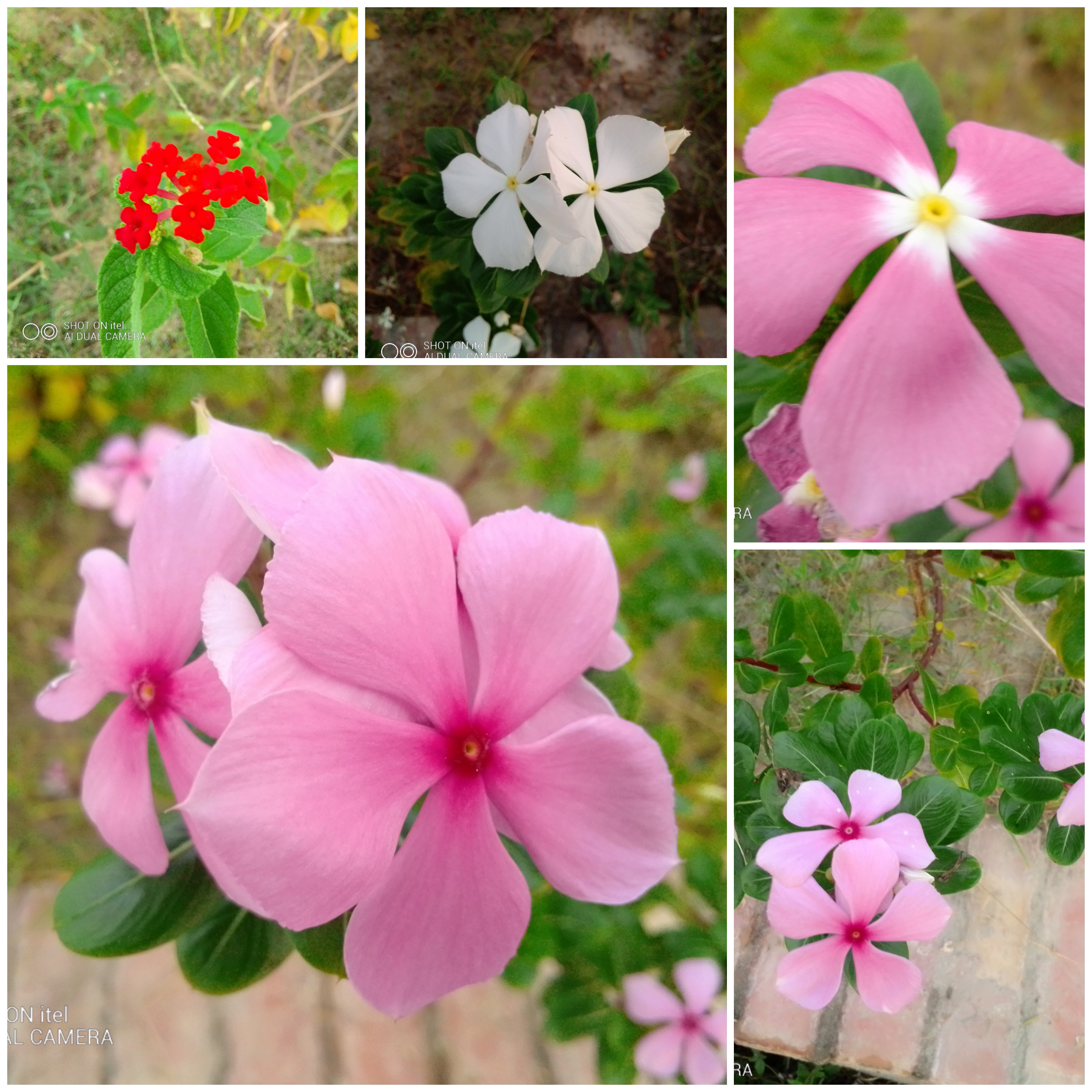 Picsart_22-08-27_18-06-31-146.jpg