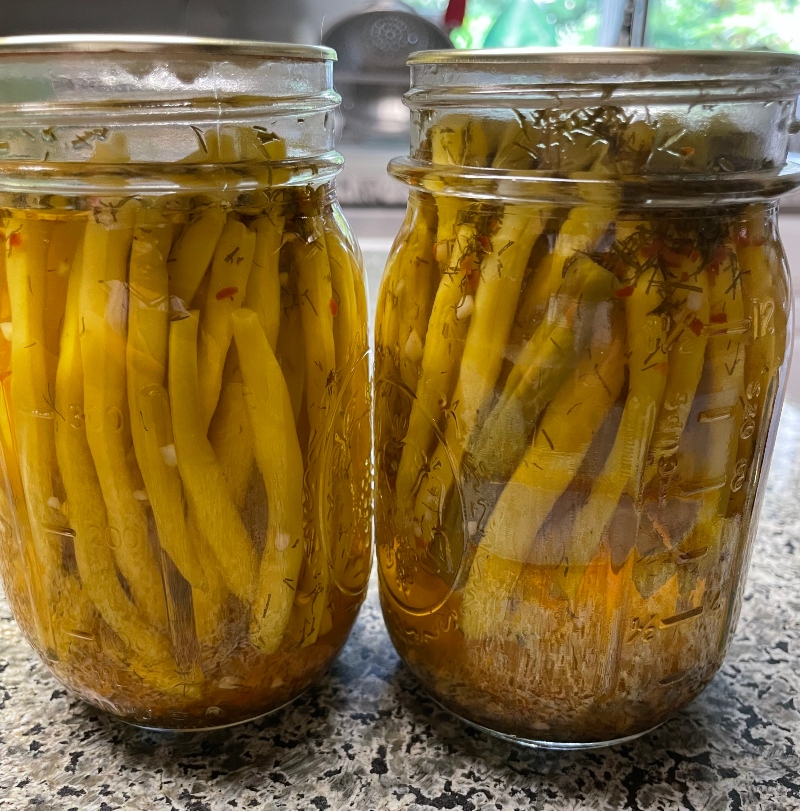 hivegarden-harvesting-beans-.jpg