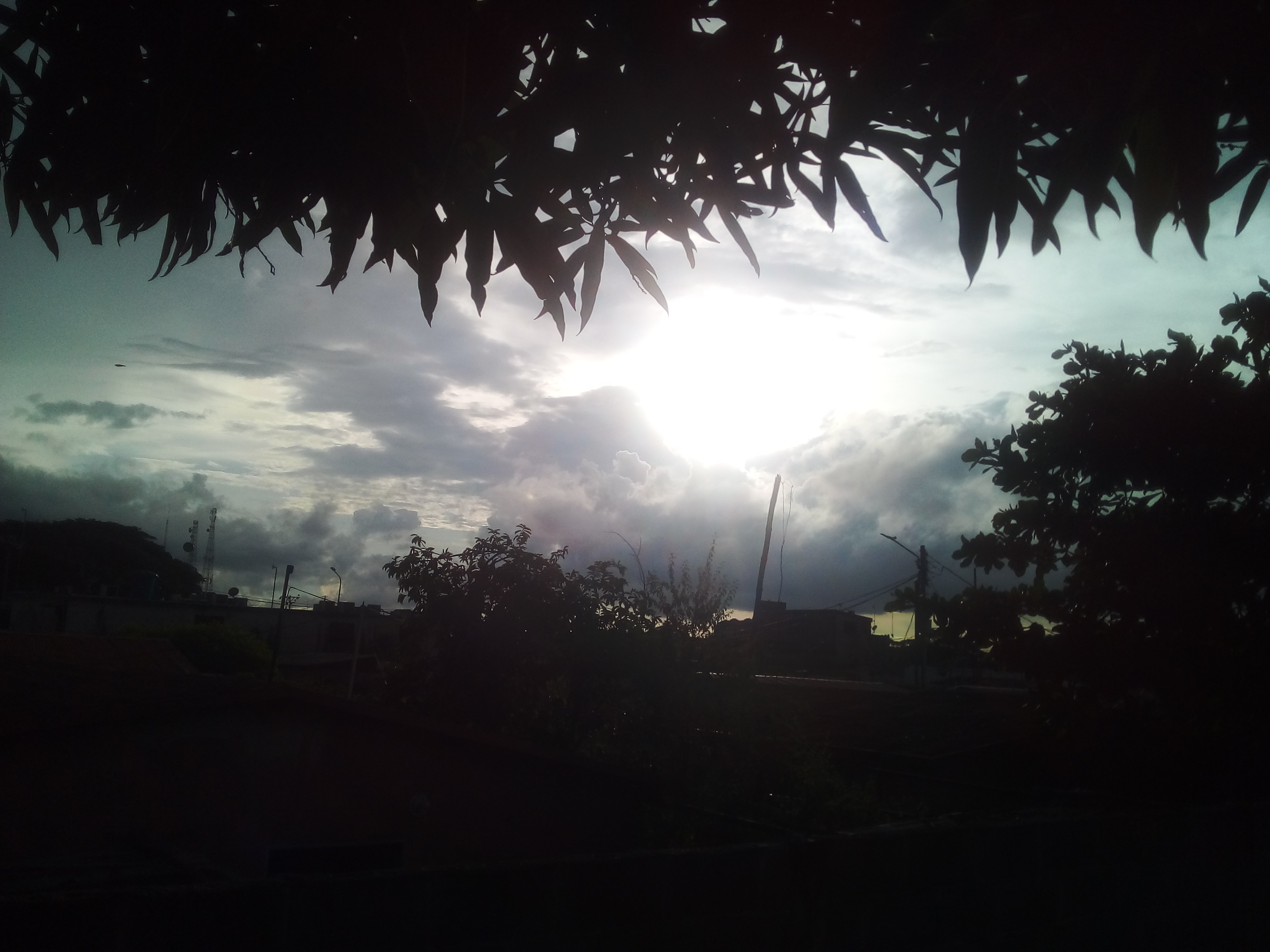 20220728_180927.jpg