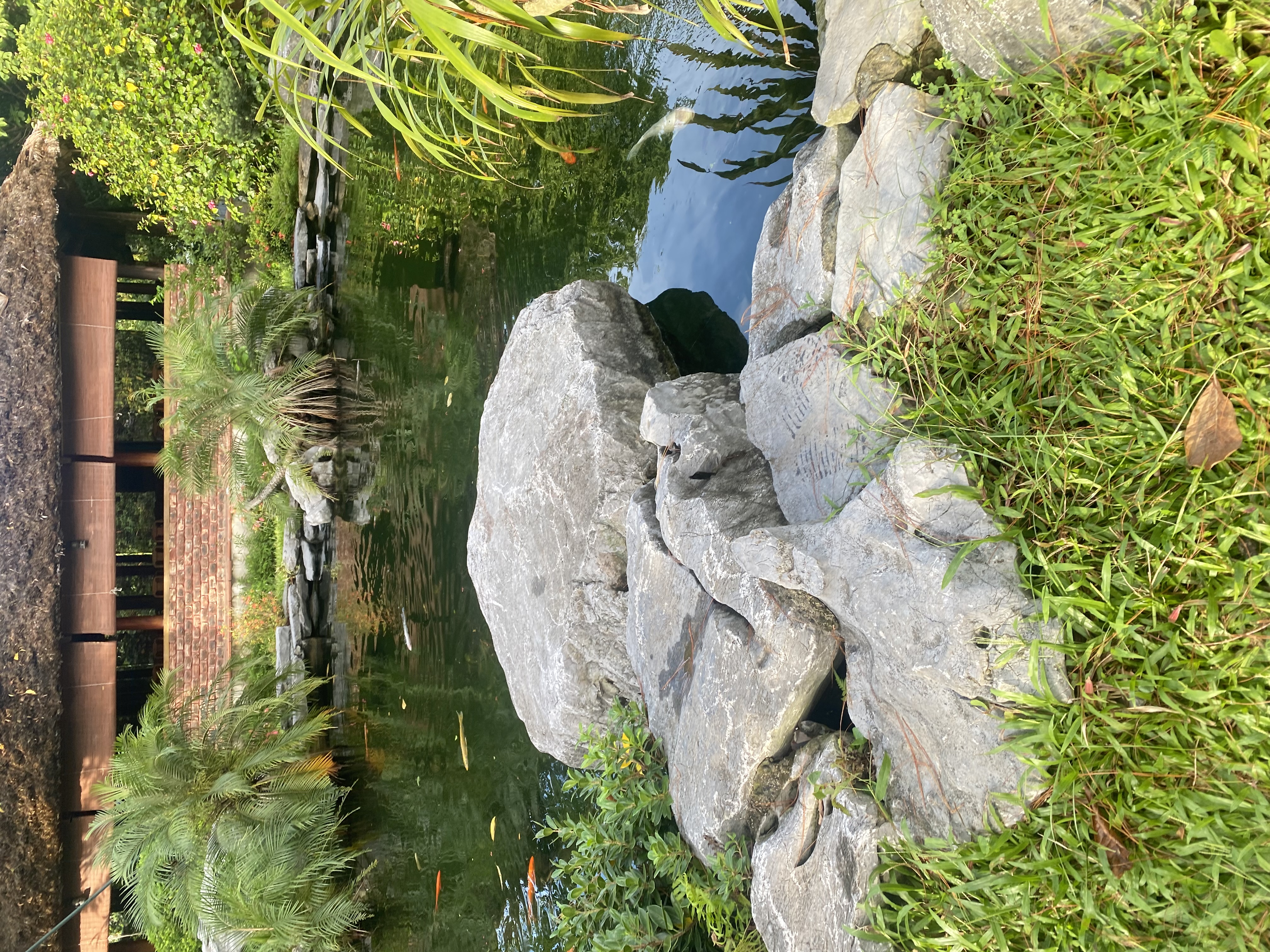 IMG_8436.jpeg