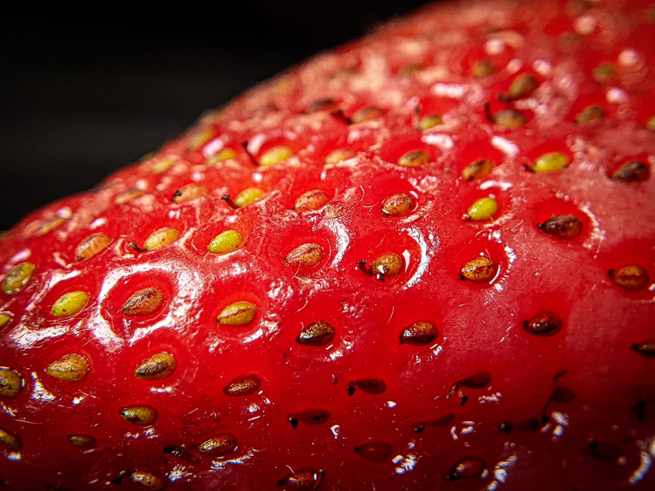 strawberry (5).jpeg
