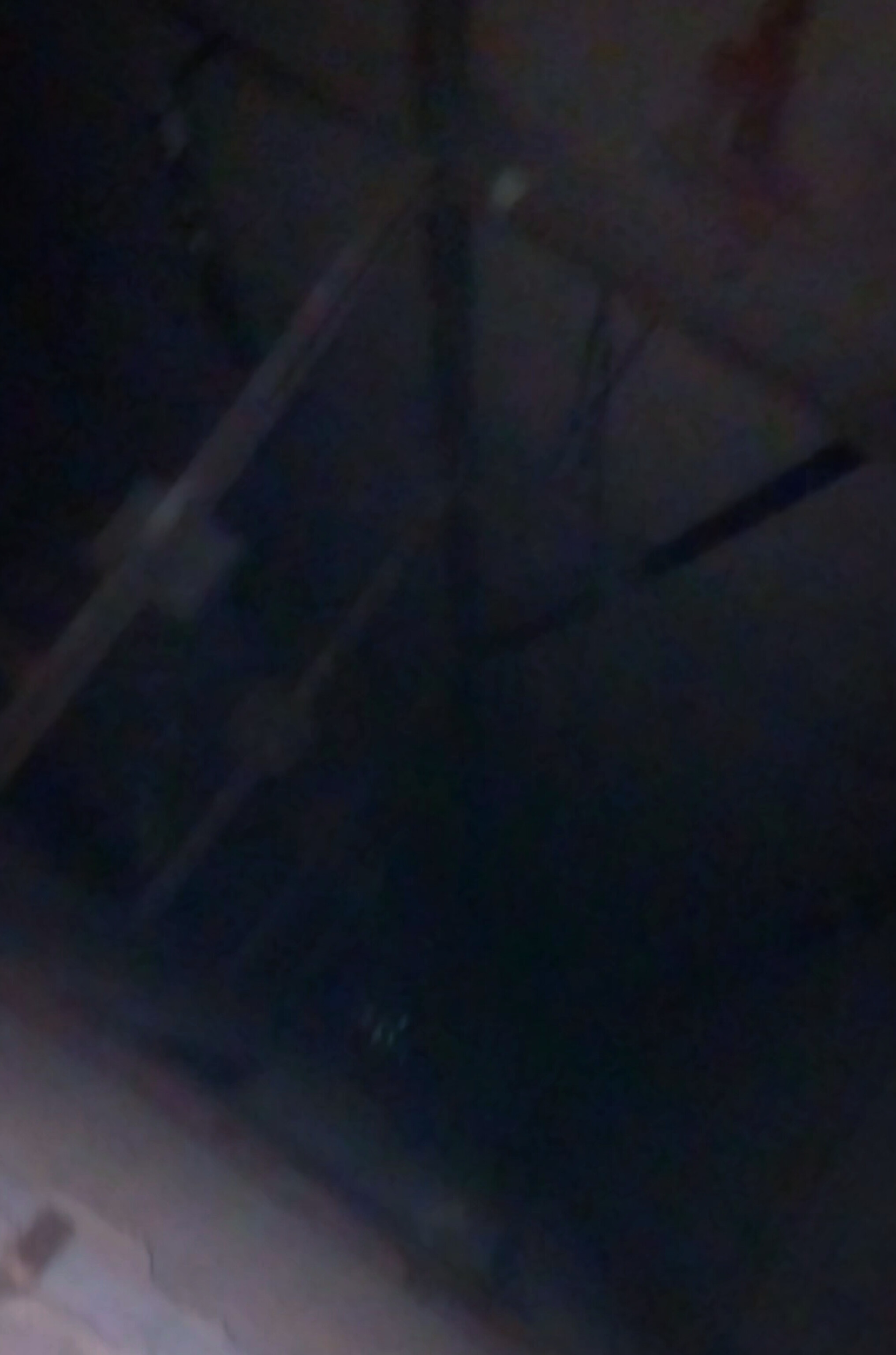 InShot_20250122_125510267.jpg