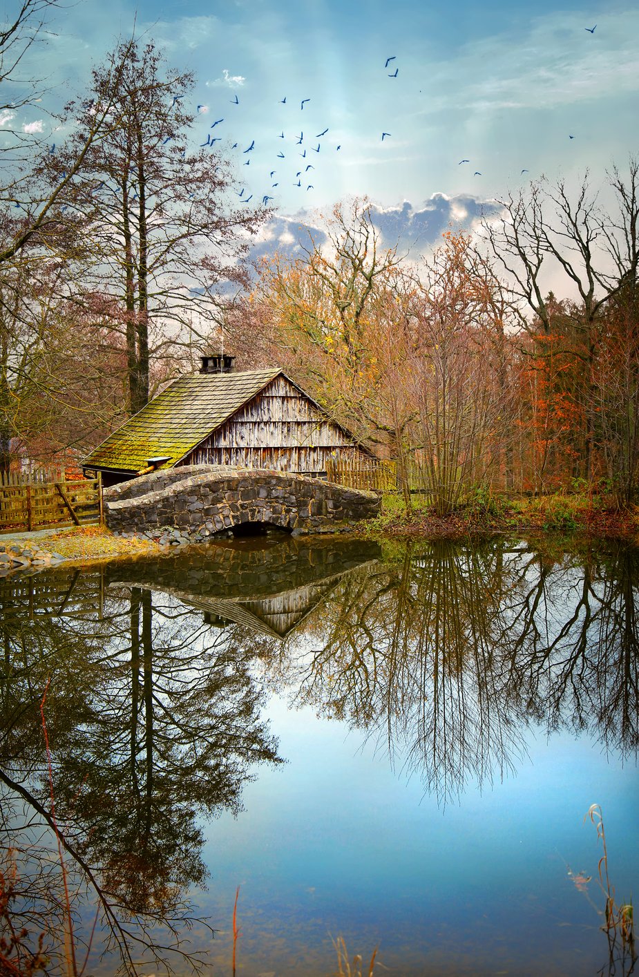 old-cabin-on-the-lake.jpg