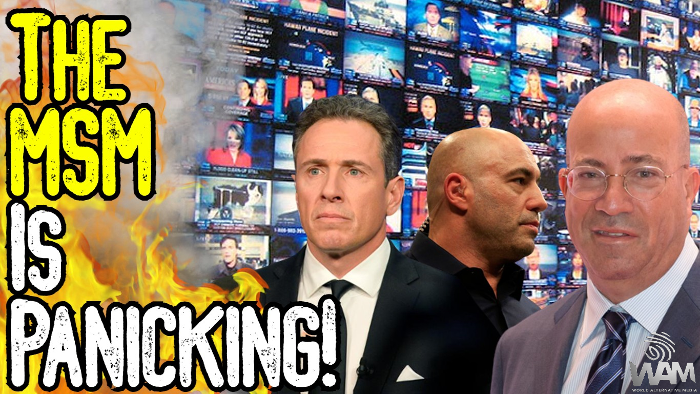 the msm is panicking thumbnail.png