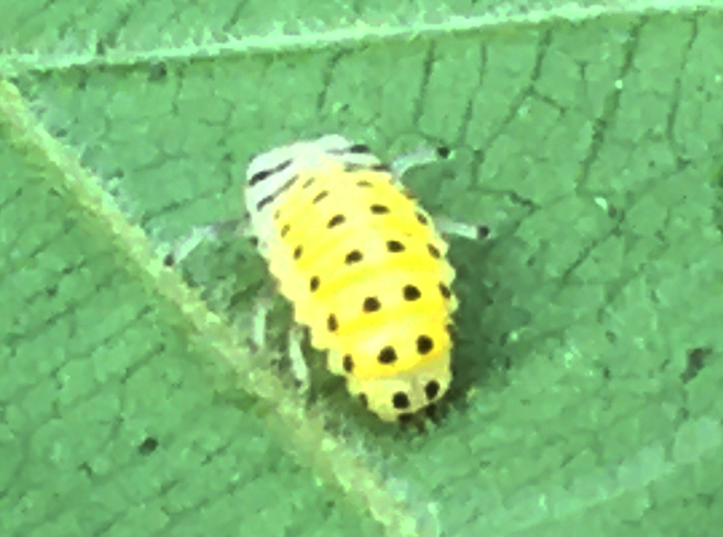IMG_9314s.png