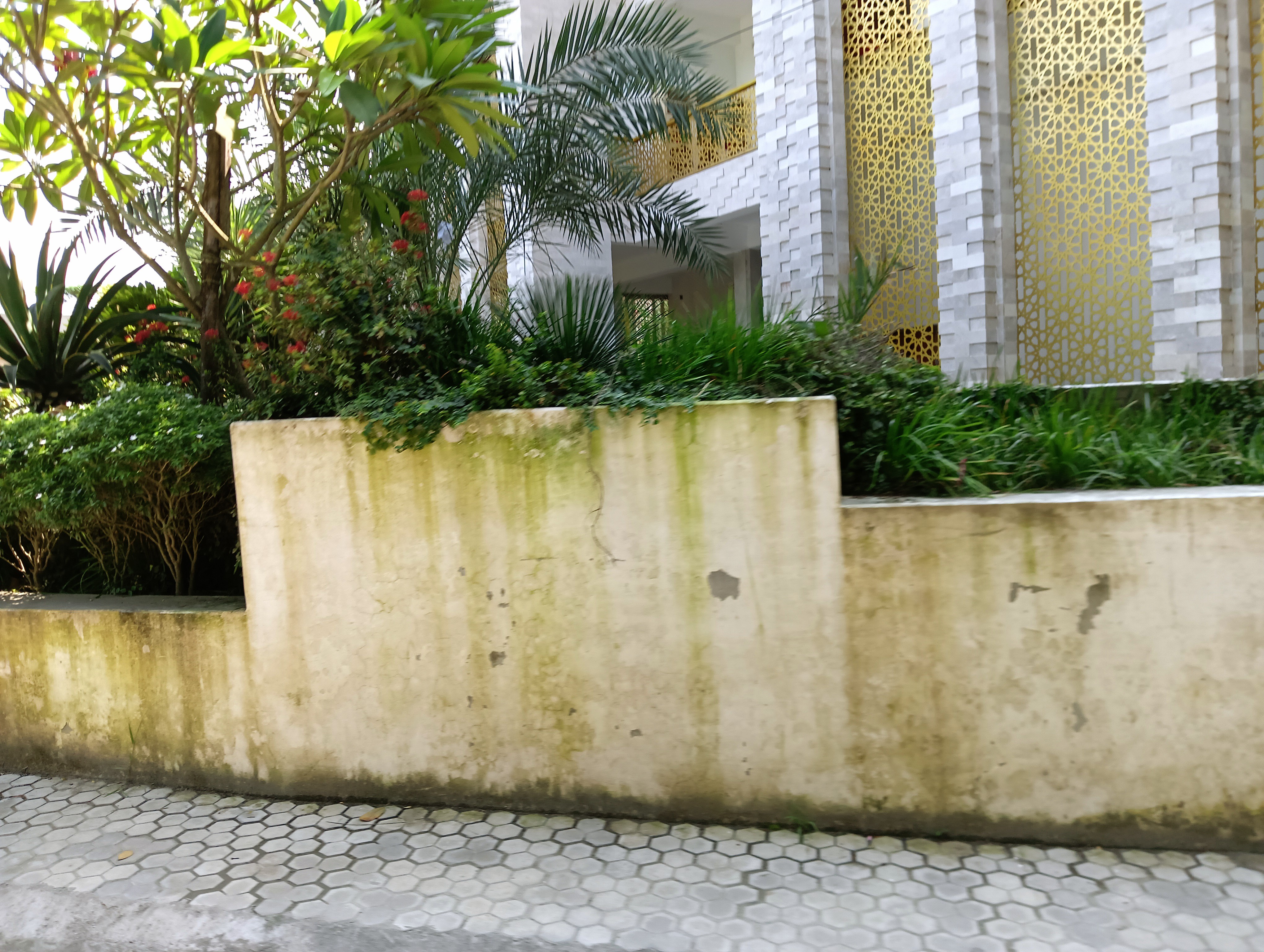 IMG20250822135634.jpg