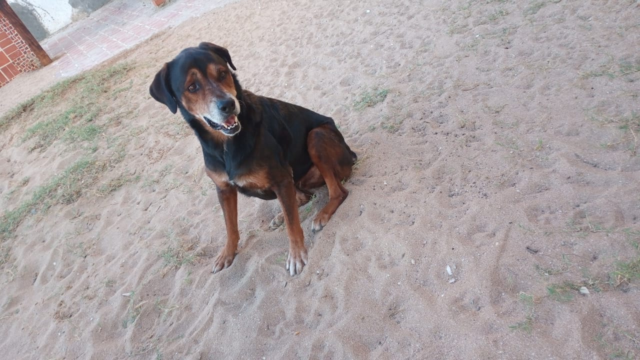 IMG-20220819-WA0001.jpg