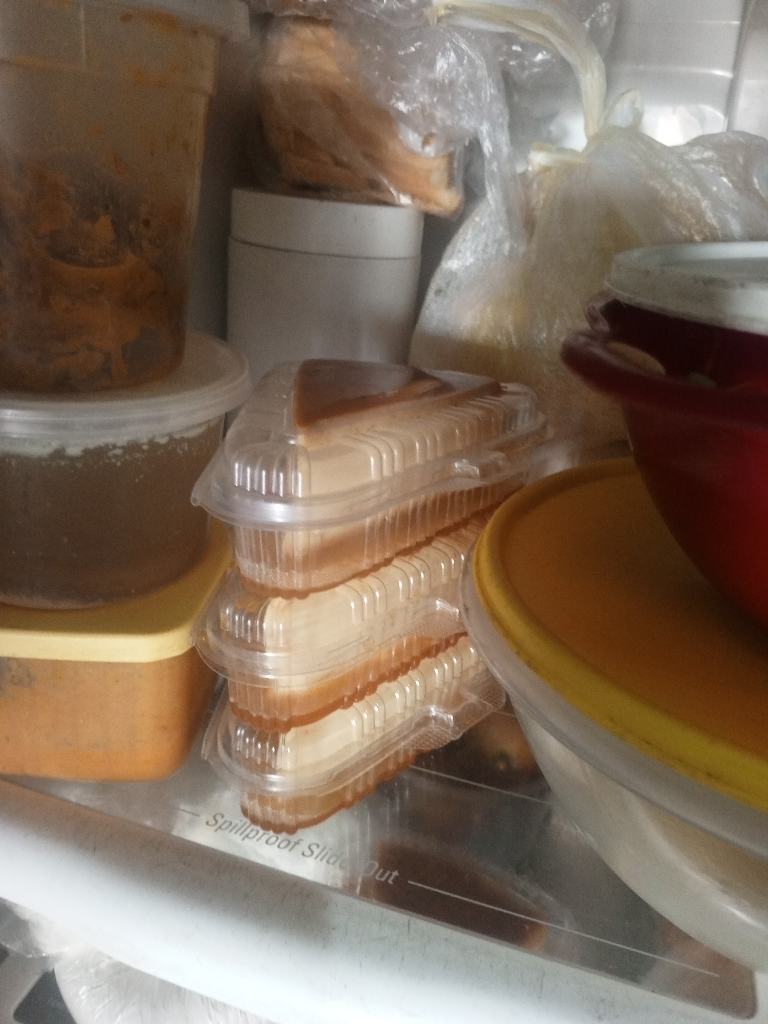 IMG-20250608-WA0050.jpeg