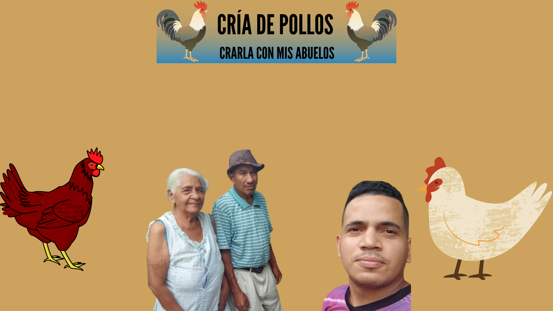 cría de pollos.png