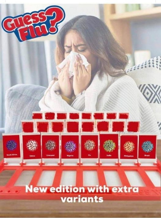 guess flu.jpg