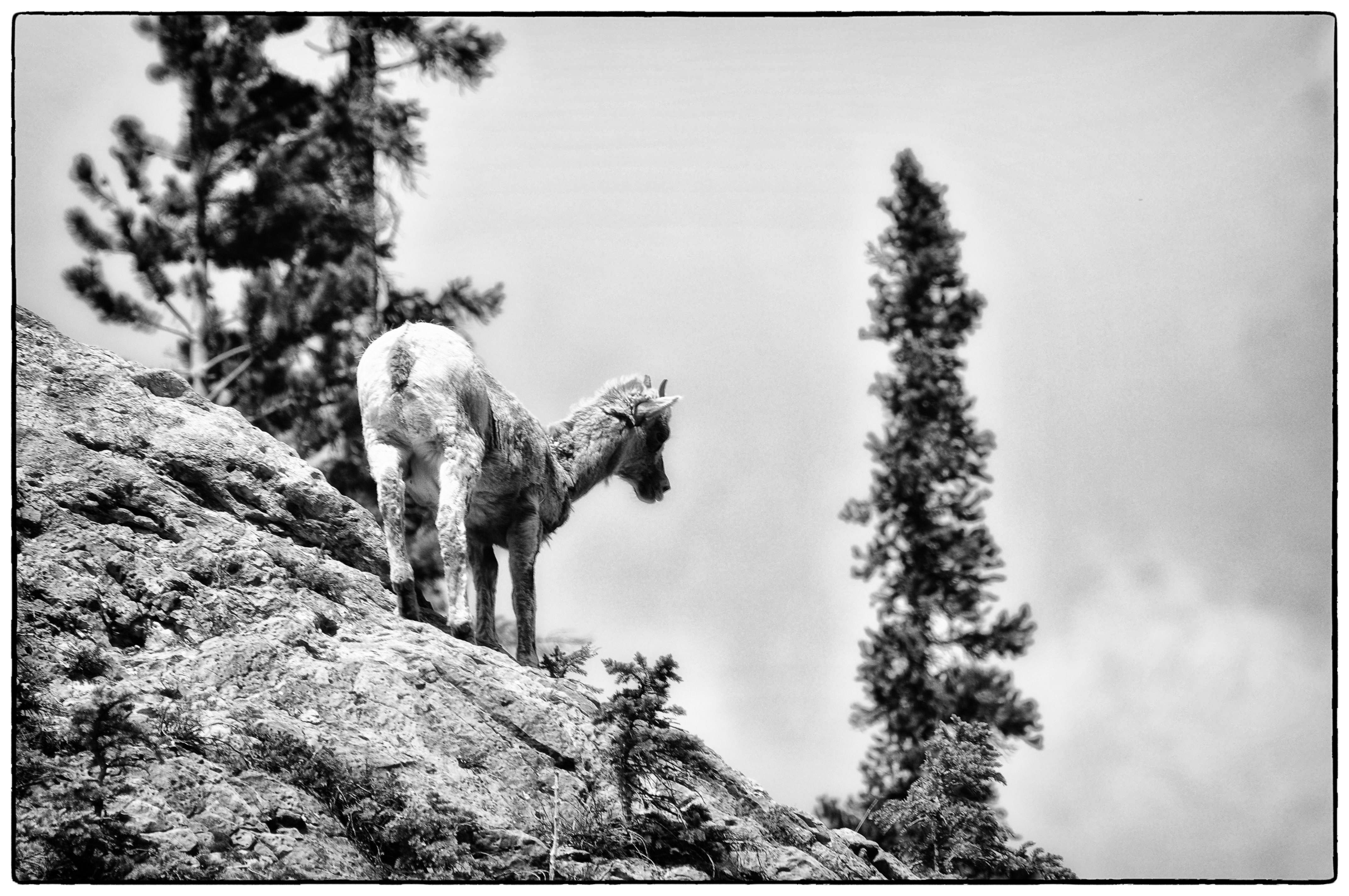 June 2 2016 Edits 35-Edit.JPG