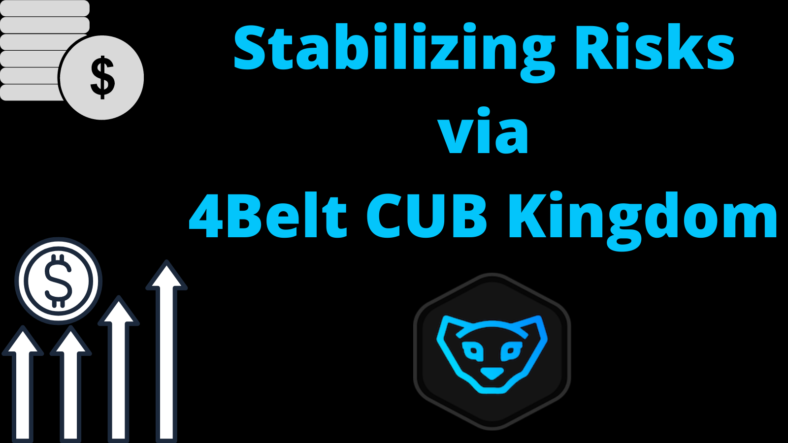 stable risks and opportunities with 4 belt cub kingdom investment.png