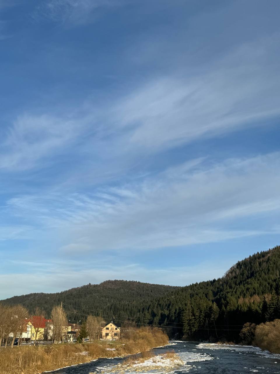 IMG_0703.jpeg