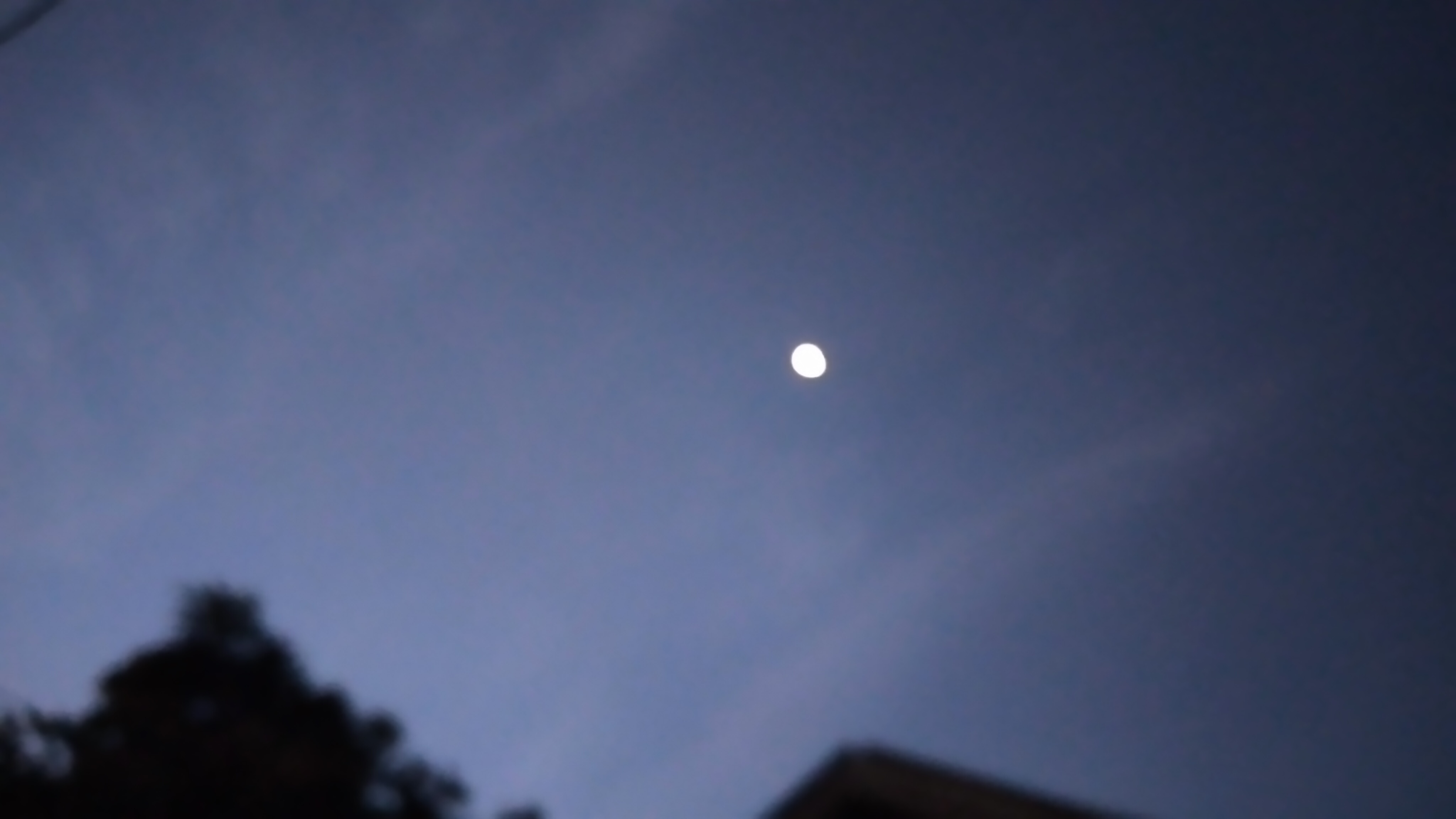 20240204_062706.jpg