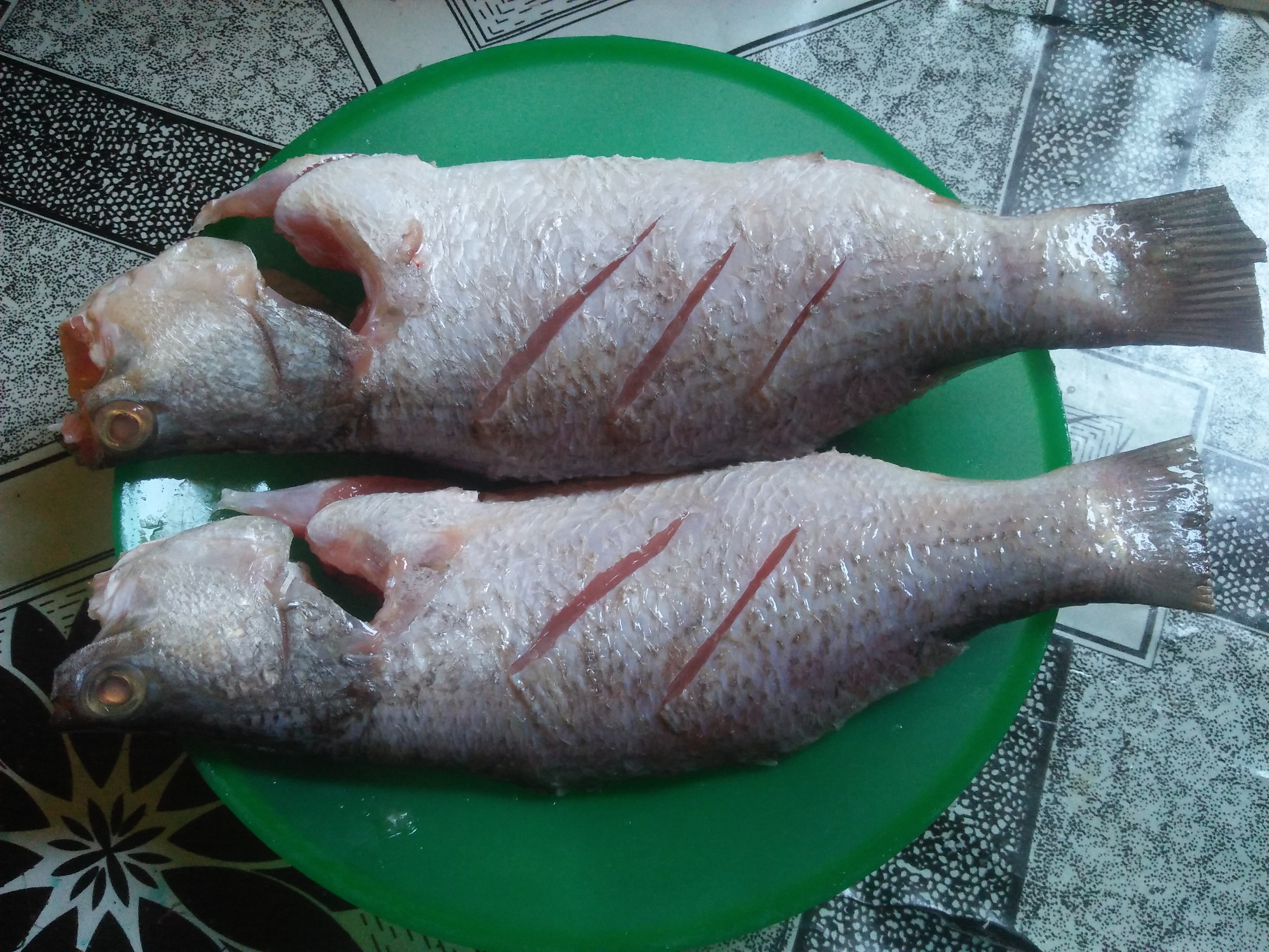 IMG20250423083648.jpg